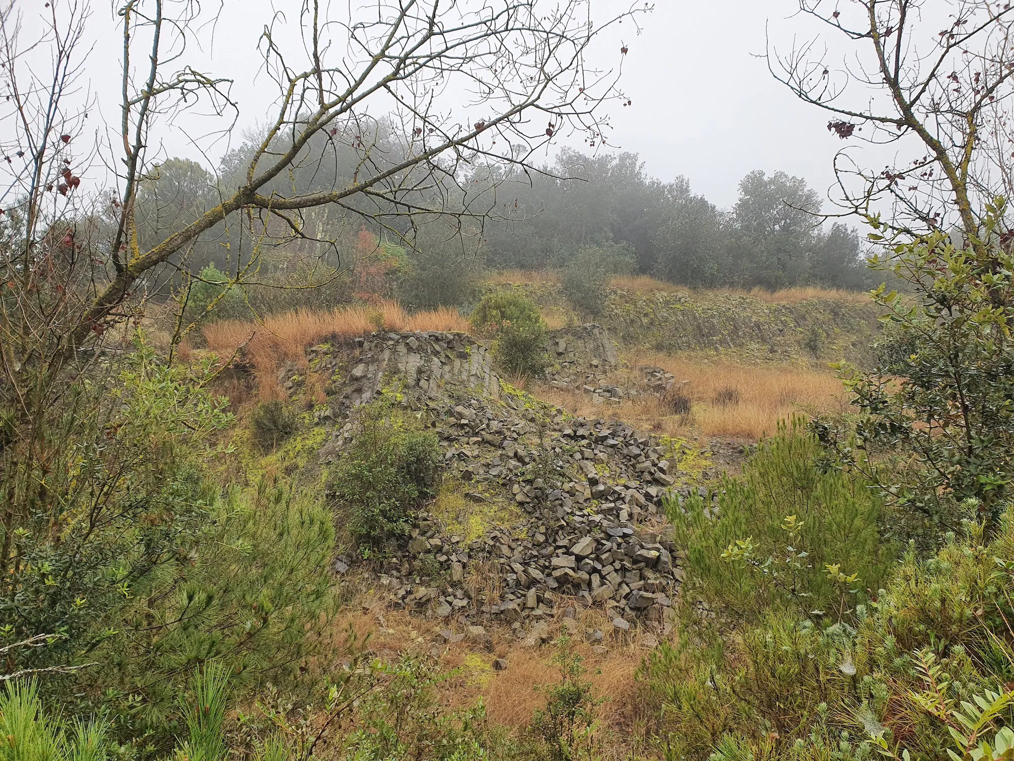 Photo showing: Turó d'en Guilana, antic volcà a Sant Julià de Ramis