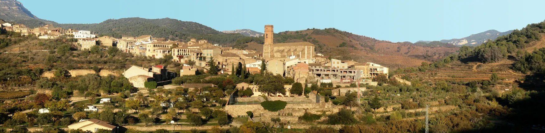 Photo showing: Vista de la Vila de Poboleda