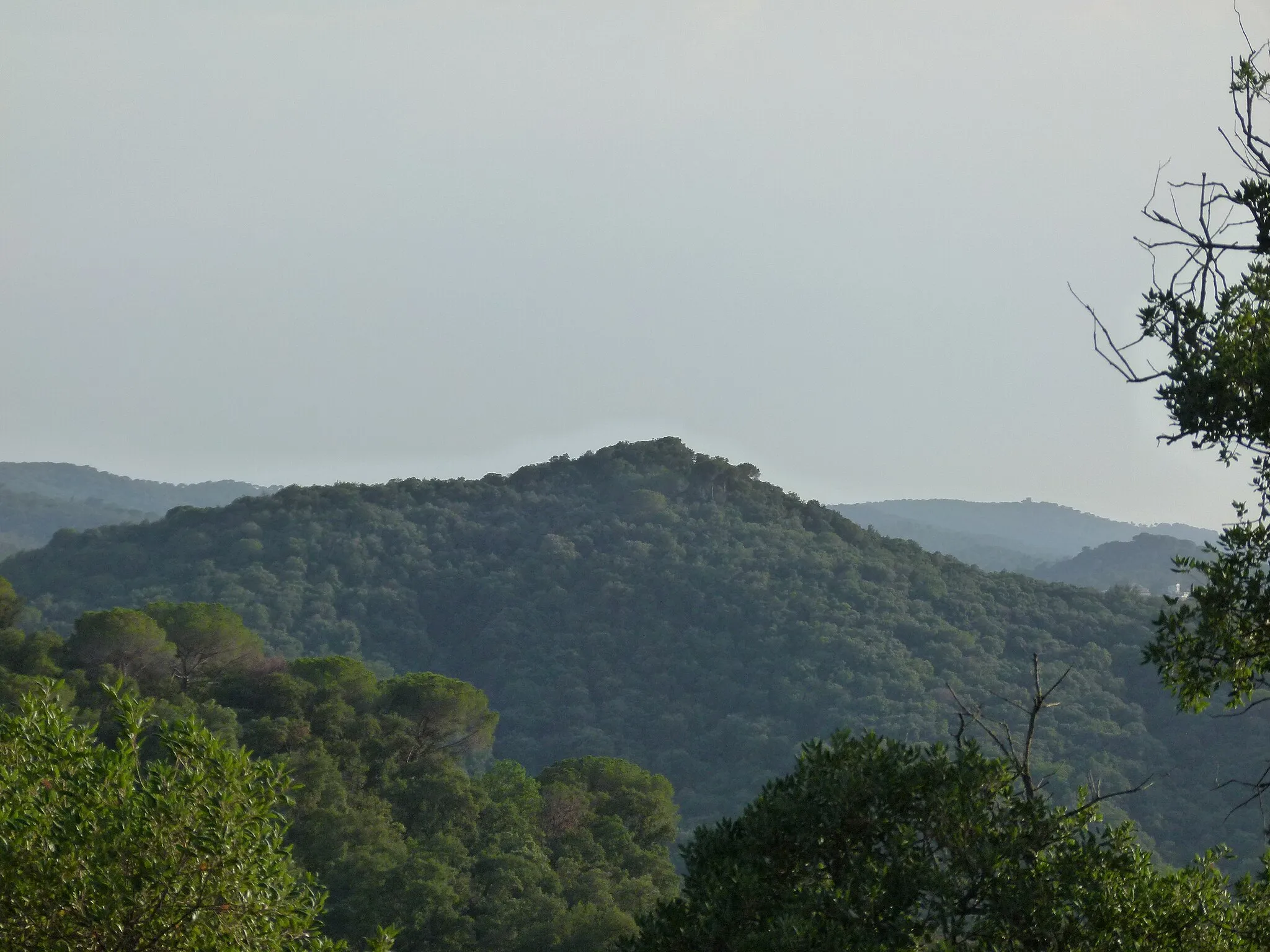 Photo showing: Turó de Ca l'Alzina Vell