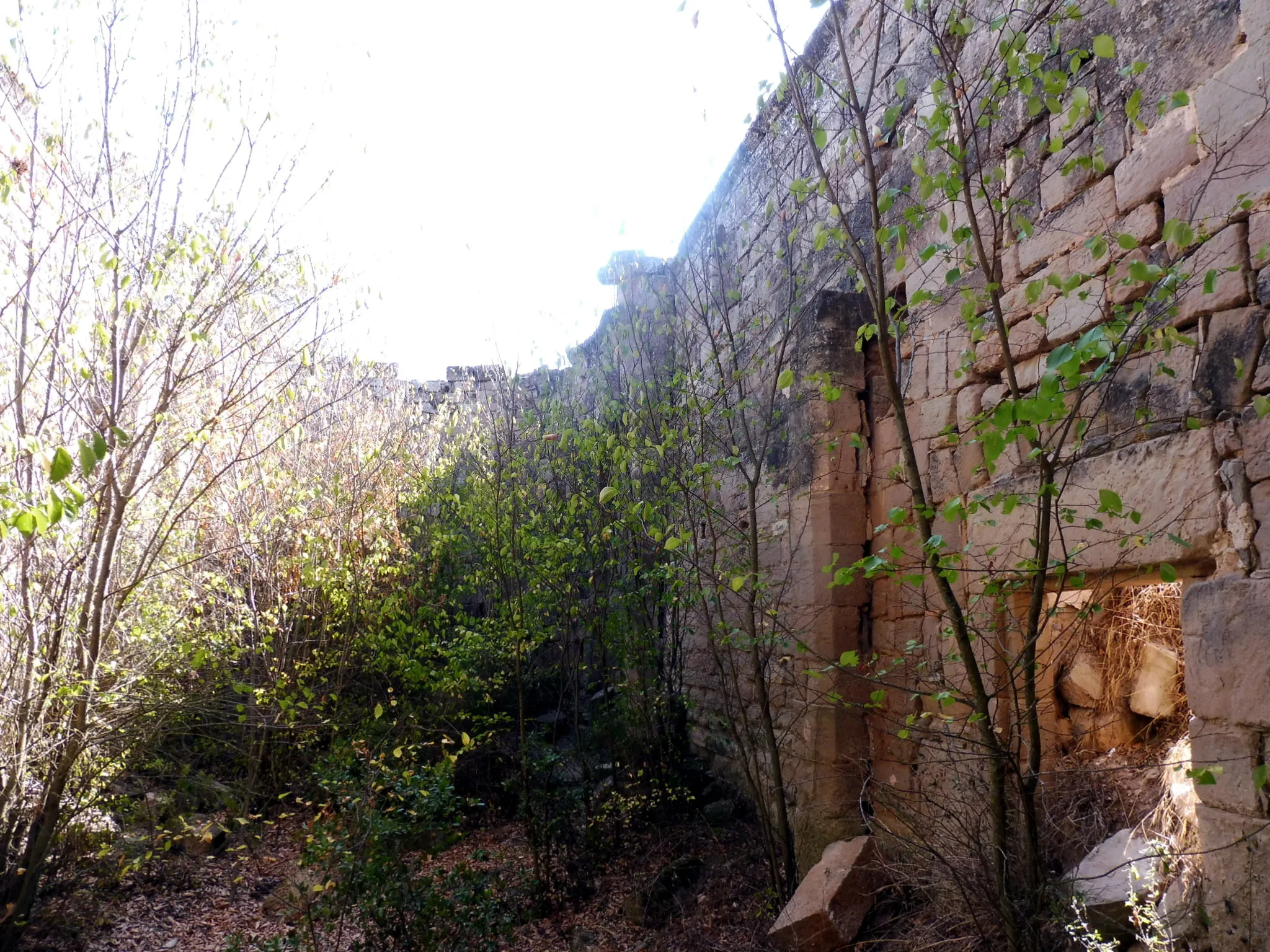 Photo showing: Ermita de Sant Ermengol (els Prats de Rei): interior