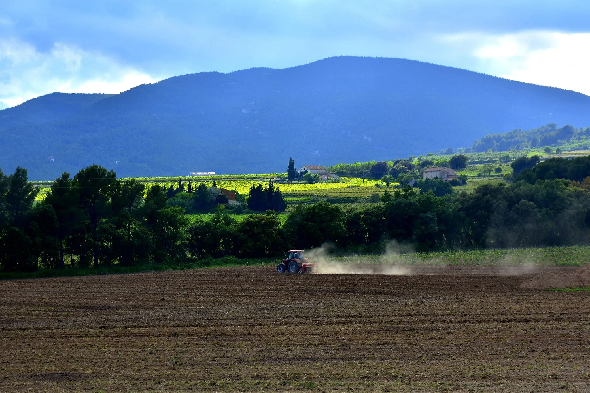 Photo showing: Farming around Torrelles de Foix, Spain