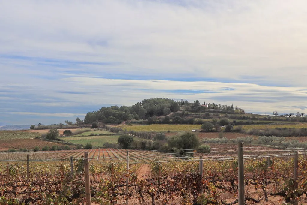 Photo showing: Pedró de la Granada