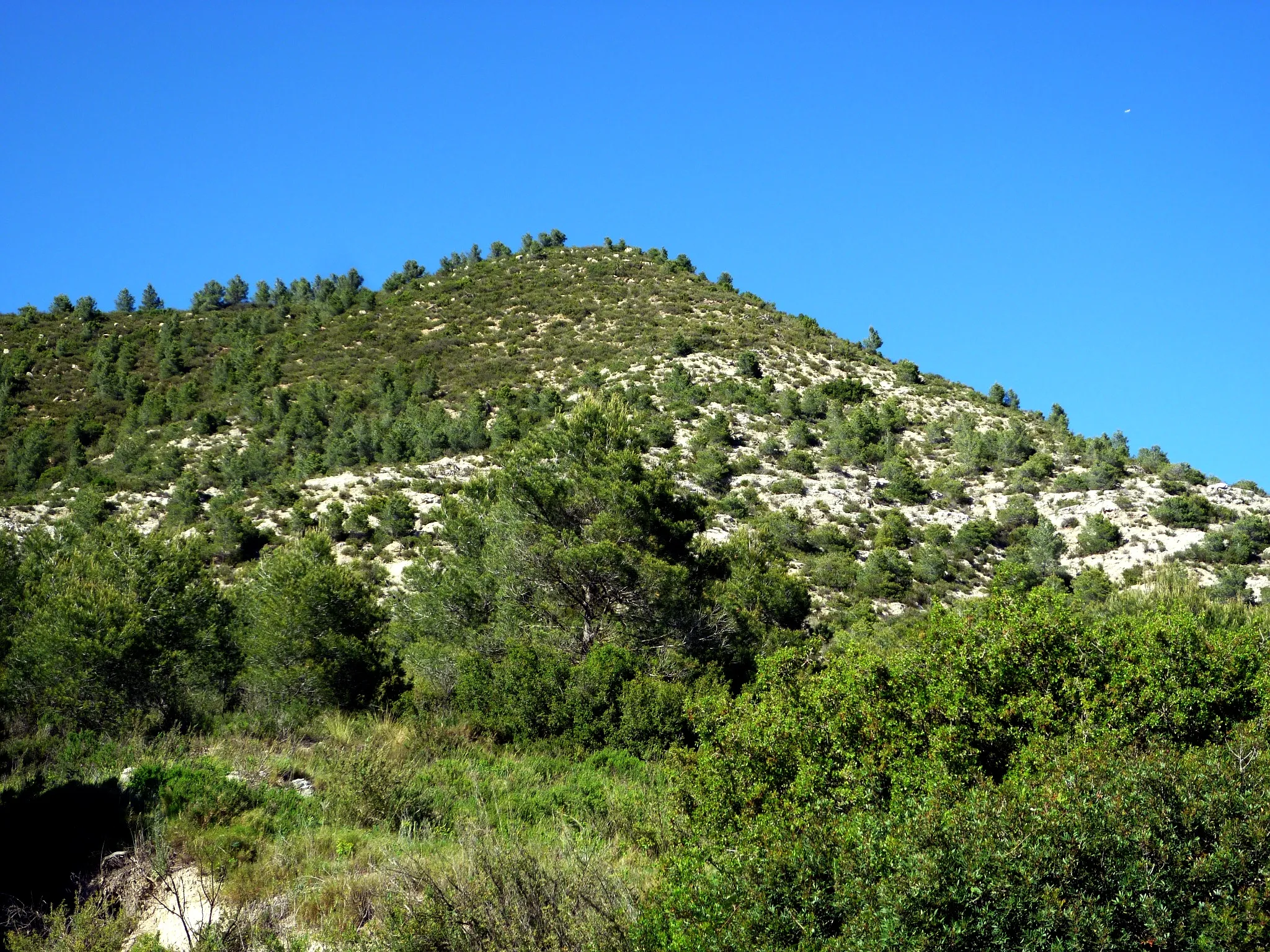 Photo showing: This is a a photo of a natural area in Catalonia, Spain, with id: