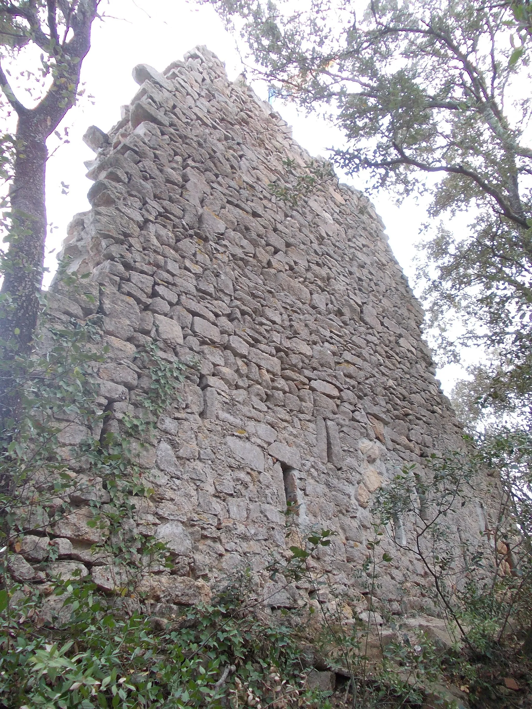 Photo showing: Paret nord de les ruïnes del Castell de Dosrius, amb espitlleres