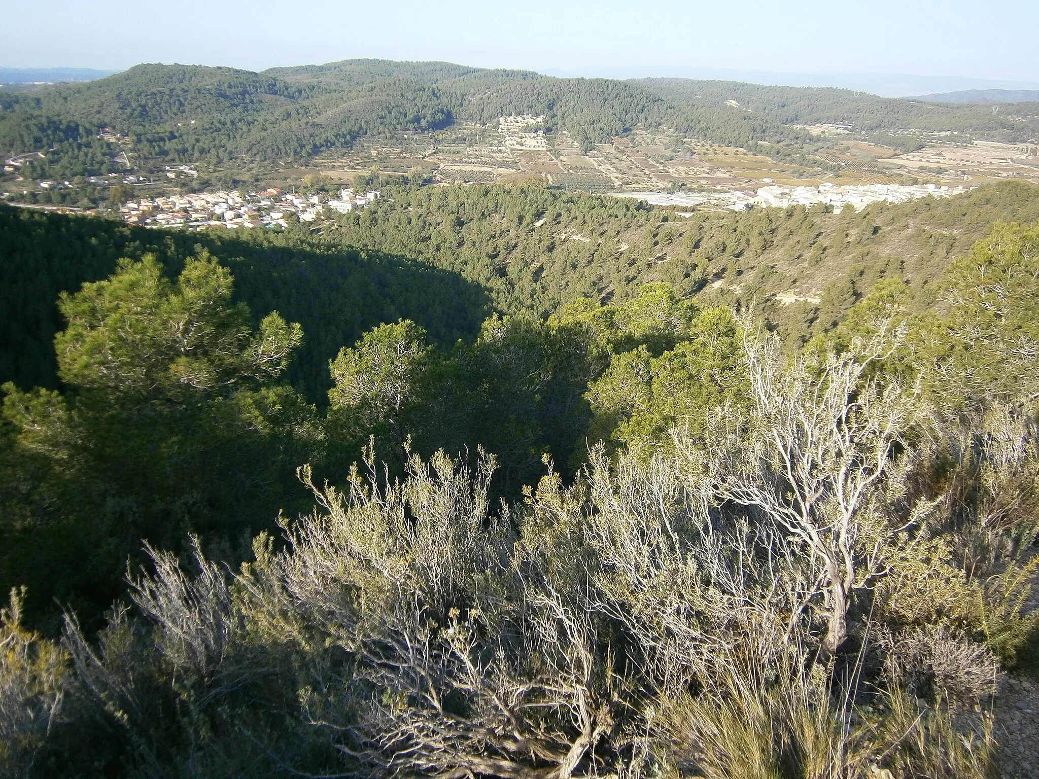 Photo showing: Bonastre (dreta) i la Vinya (esquerra). Vista des de la Muntanya de la Rovira