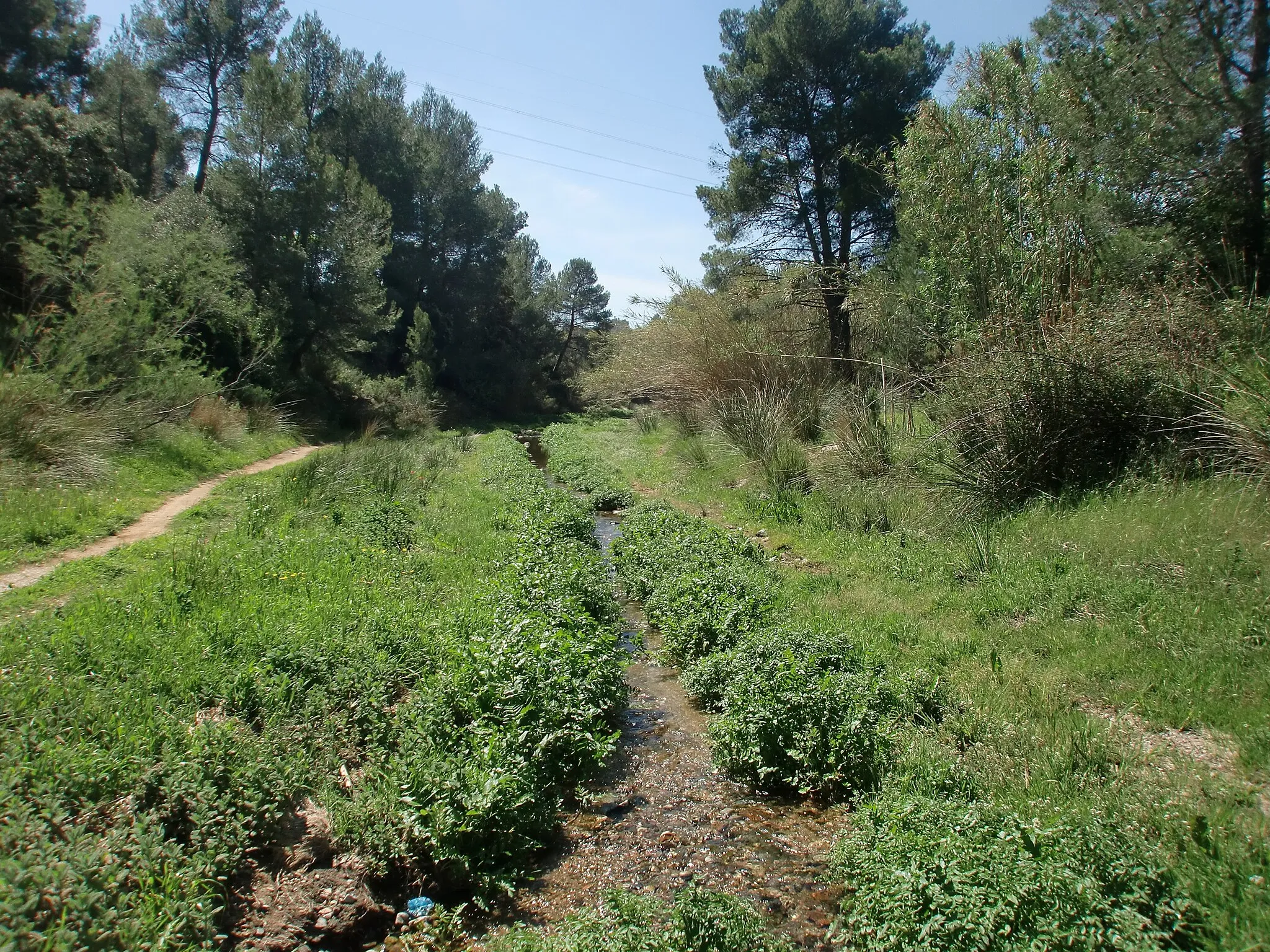 Photo showing: Imatge de la Riera de Maspujols, entre els pobles de Maspujols i l'Aleixar