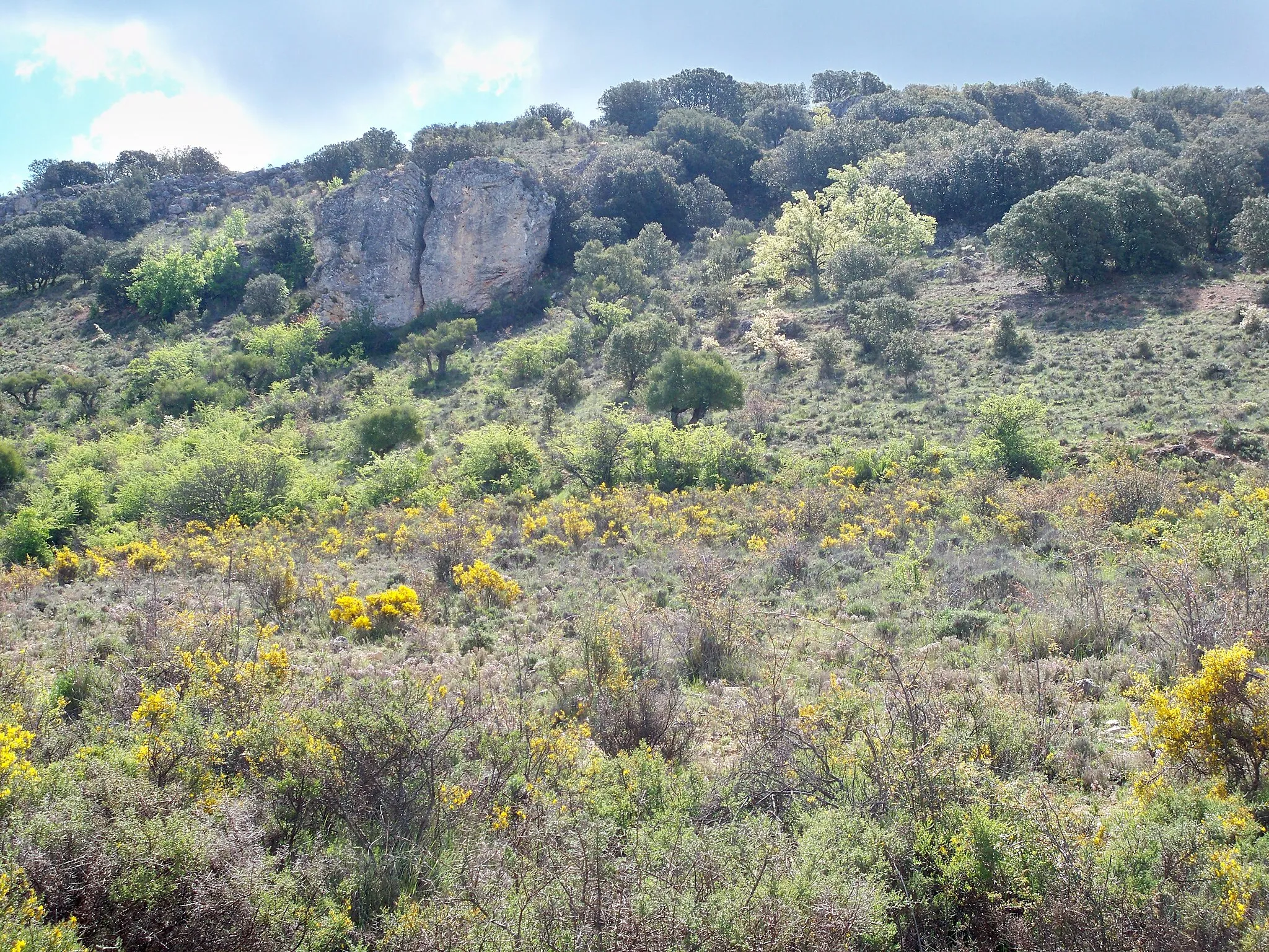 Photo showing: Vista de la Peña de los Milánganos desde los olivares, frente al pueblo