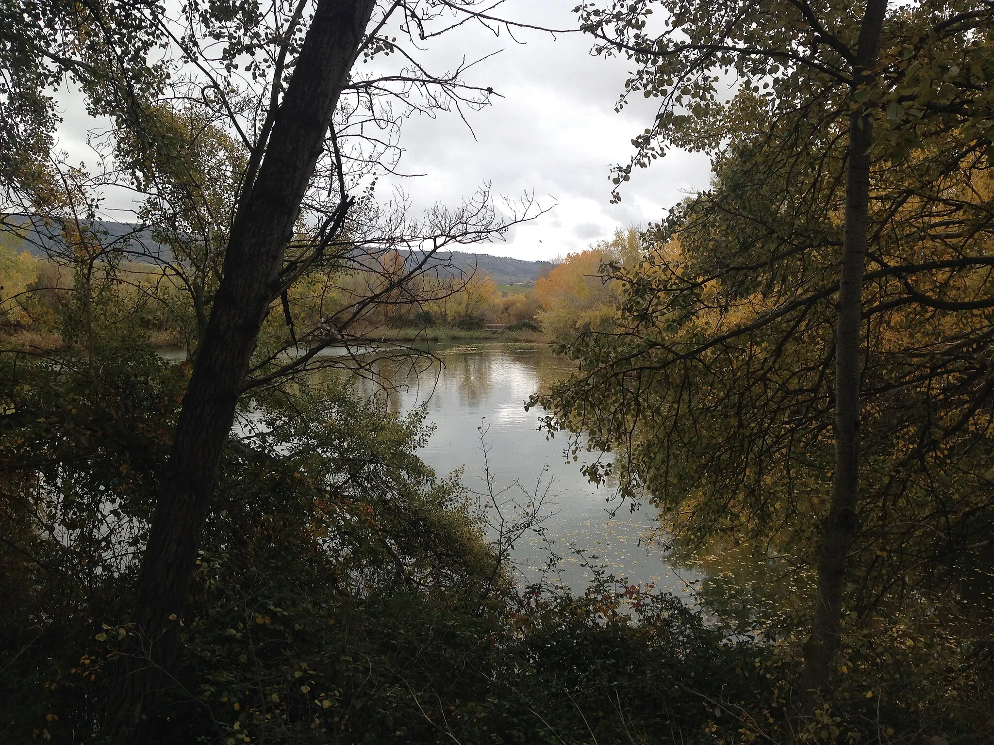 Photo showing: Reserva ornitológica en el municipio español de Azuqueca de Henares. Vista de una de sus cuatro lagunas en otoño