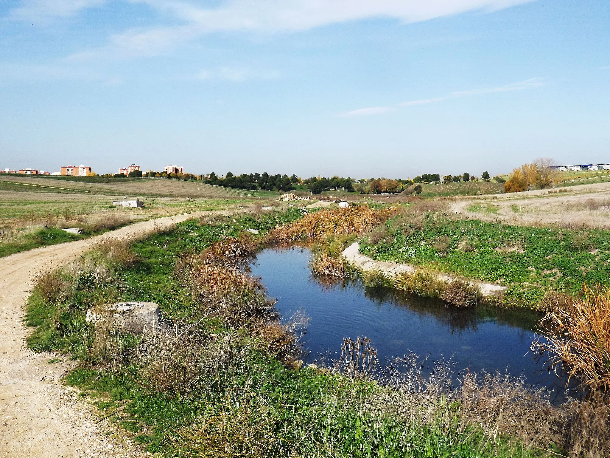 Photo showing: Arroyo Culebro a su paso por Fuenlabrada