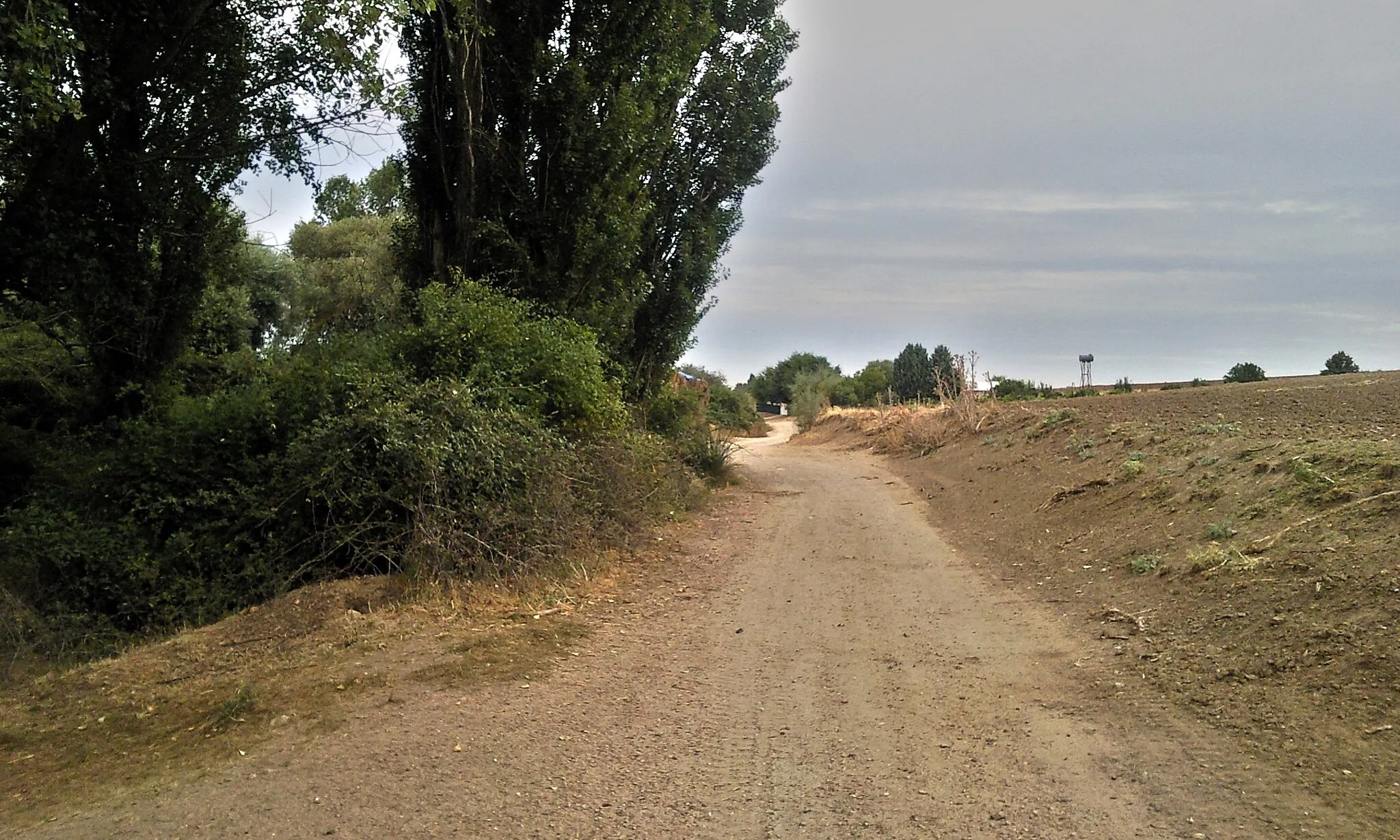 Photo showing: Camino de Cobeña (ruta Daganzo-Narros)