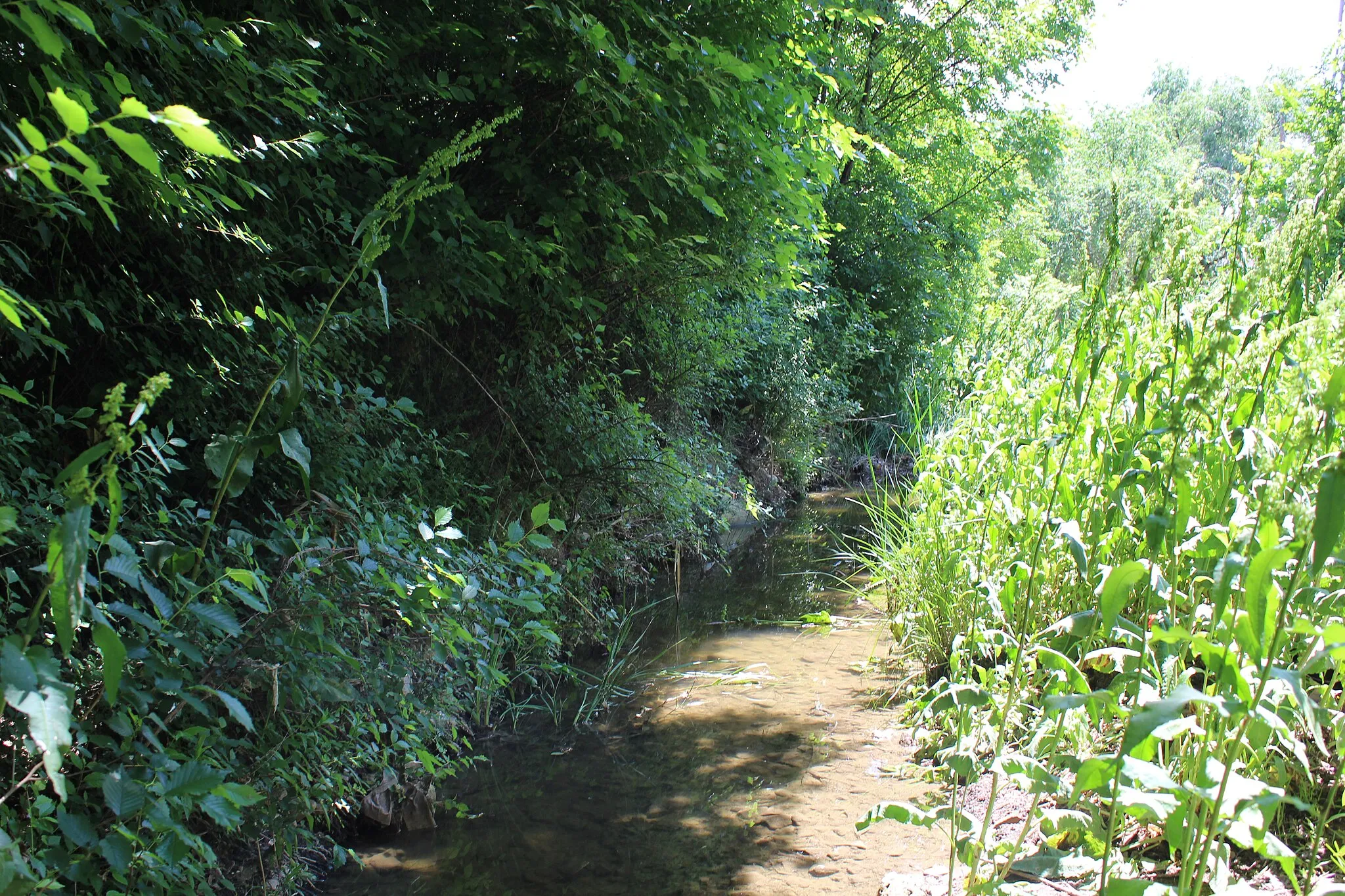 Photo showing: Arroyo del Monte (Daganzo de Arriba).