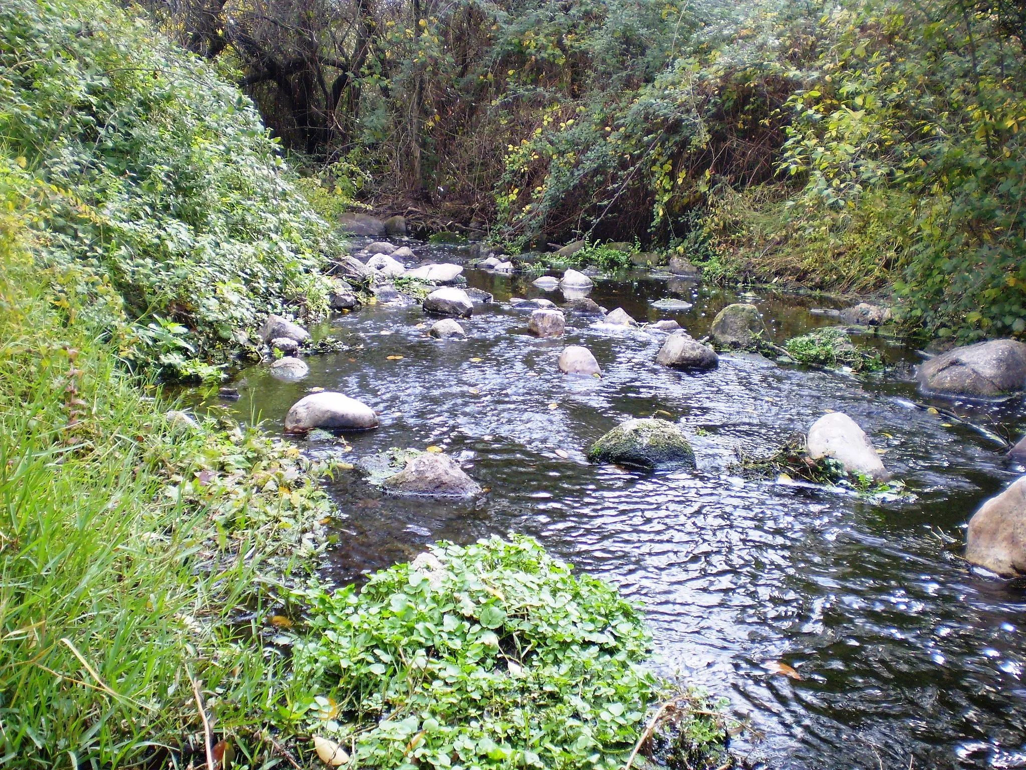 Photo showing: Arroyo de Trofa, in Torrelodones. Community of Madrid, Spain.