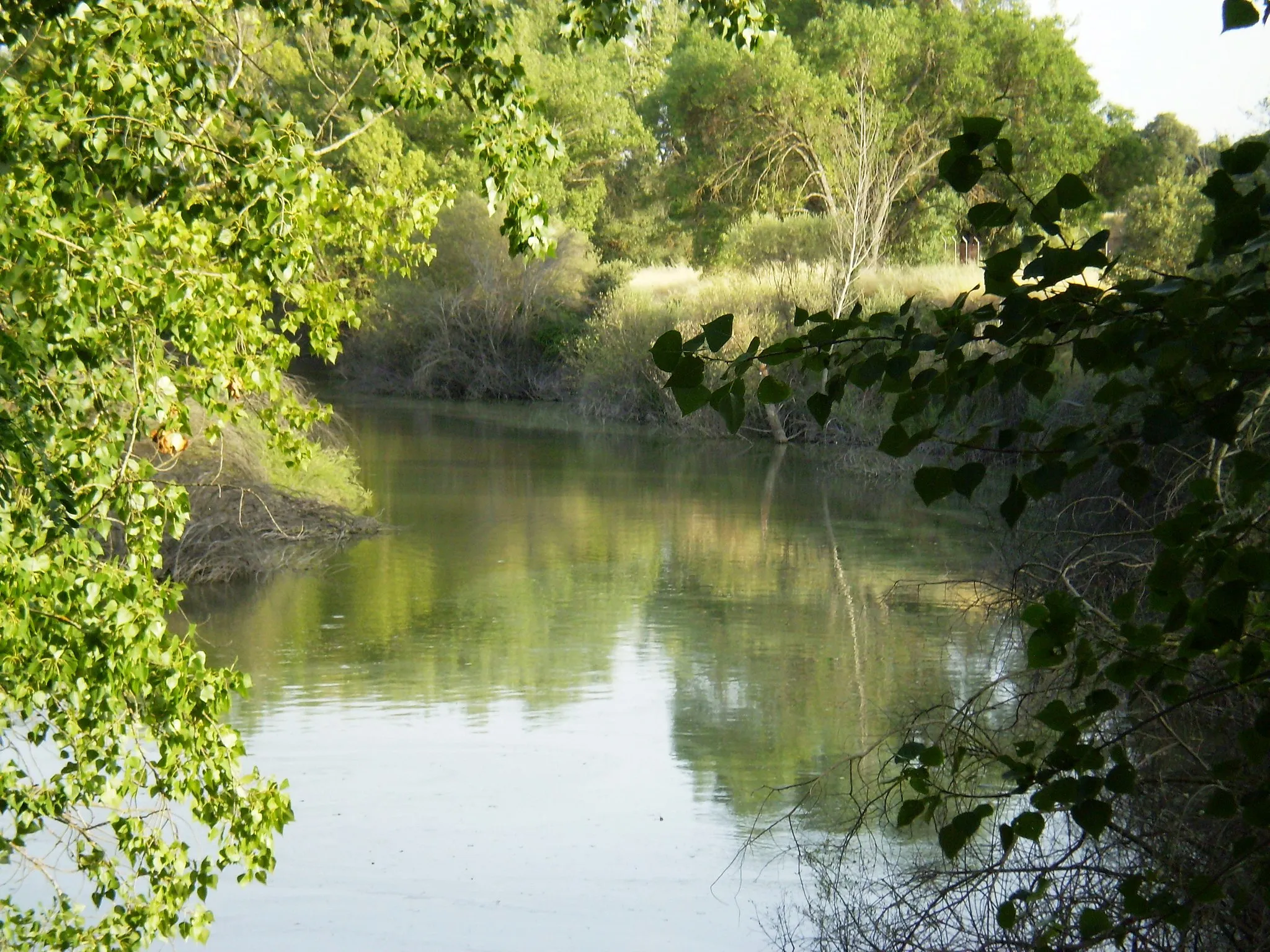 Photo showing: Manzanares River, in Monte de El Pardo. Community of Madrid, Spain