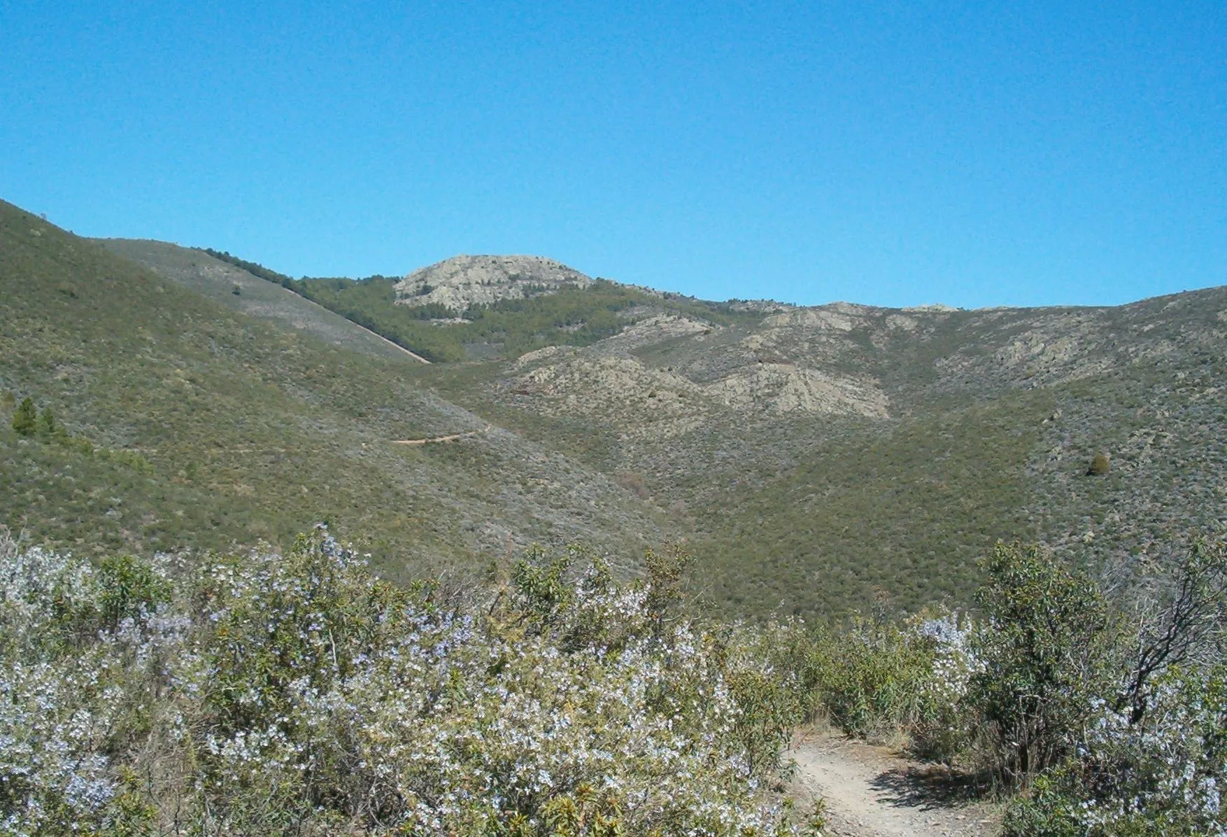 Photo showing: Vista del Cancho de la Cabeza (1264m) desde la vertiente sur.