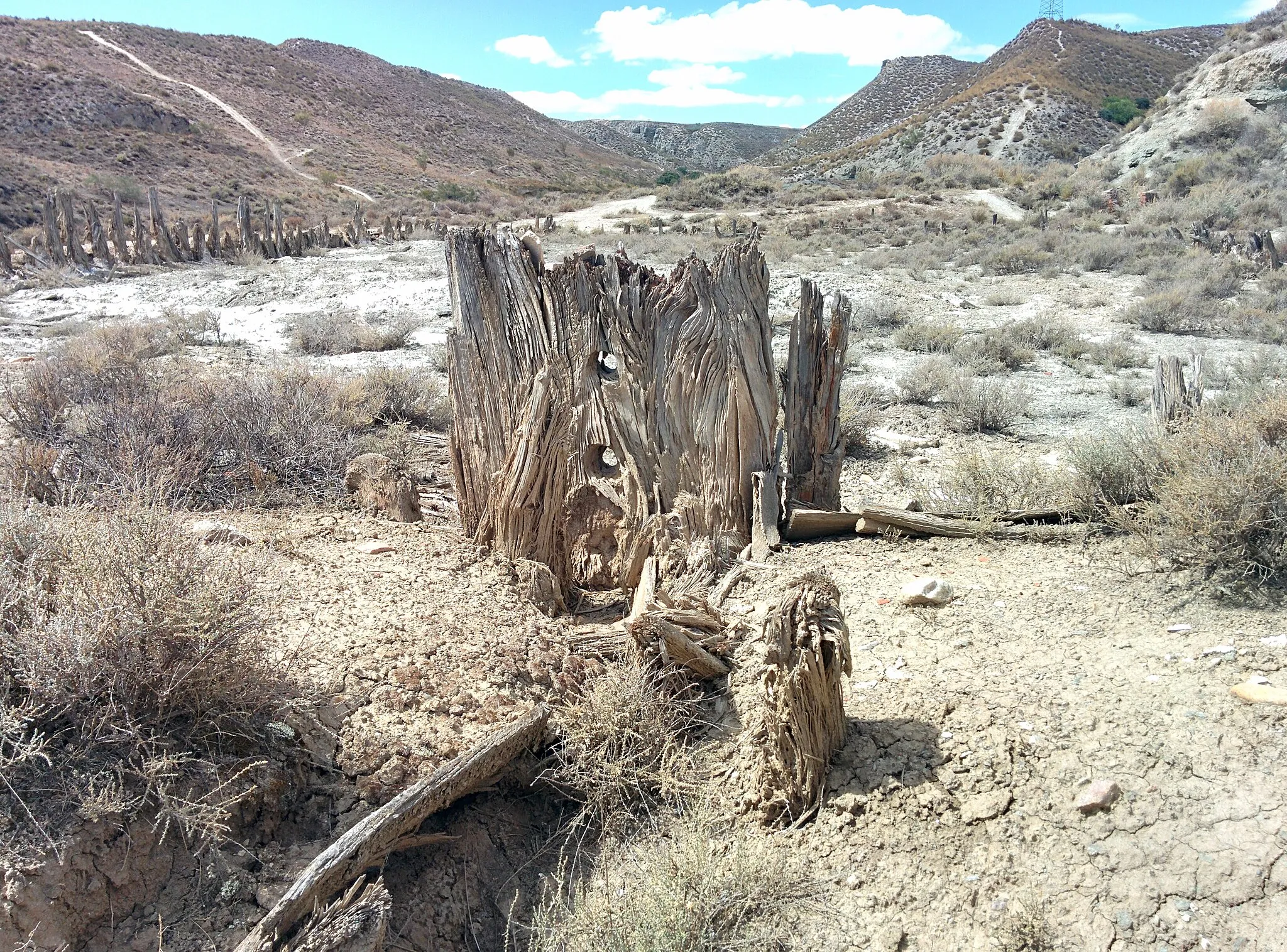 Photo showing: Salinas Espartinas, en Ciempozuelos (Madrid, España).