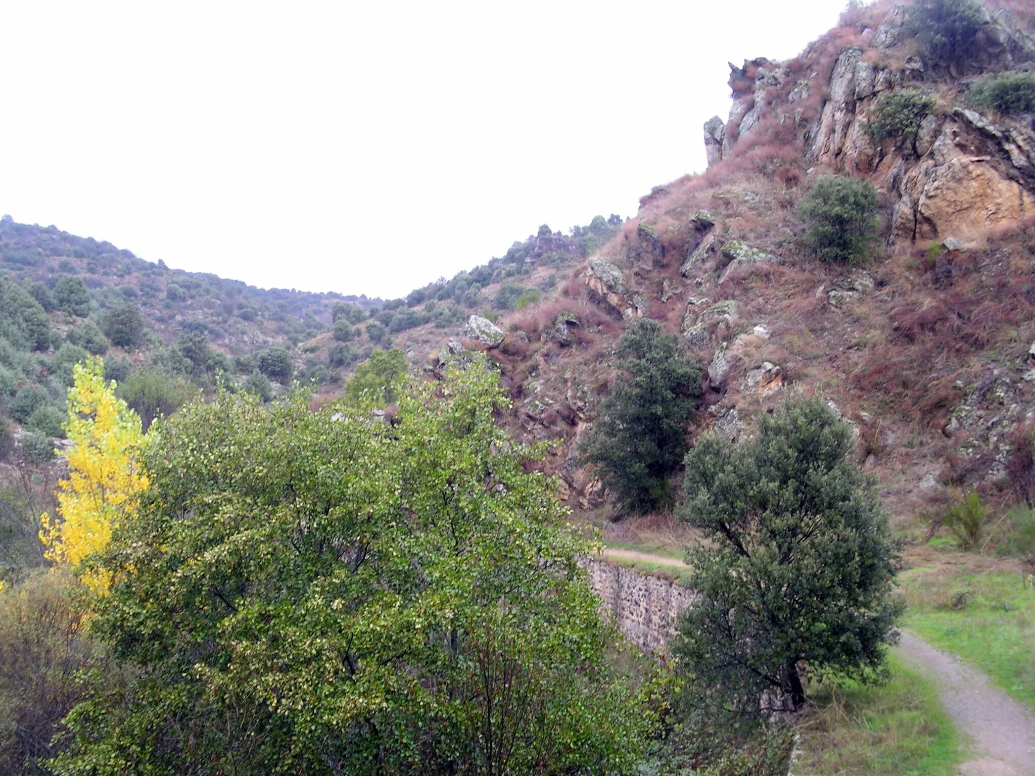 Photo showing: 2010-10-30 Senda del Cañón de Guadalix