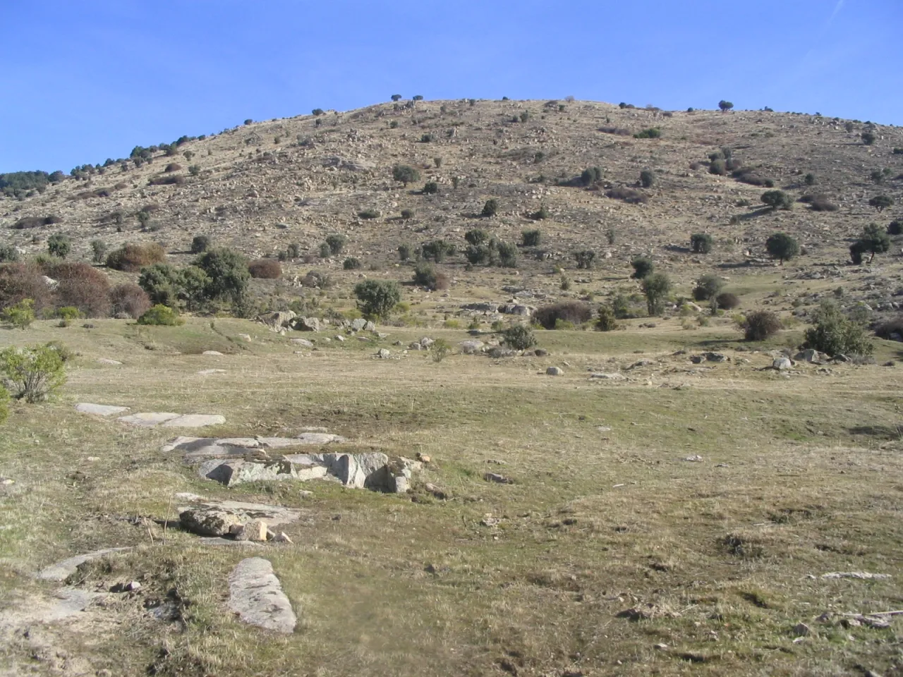Photo showing: Ladera sur del Cerro Cañal, perteneciente a la Sierra de Guadarrama (España).