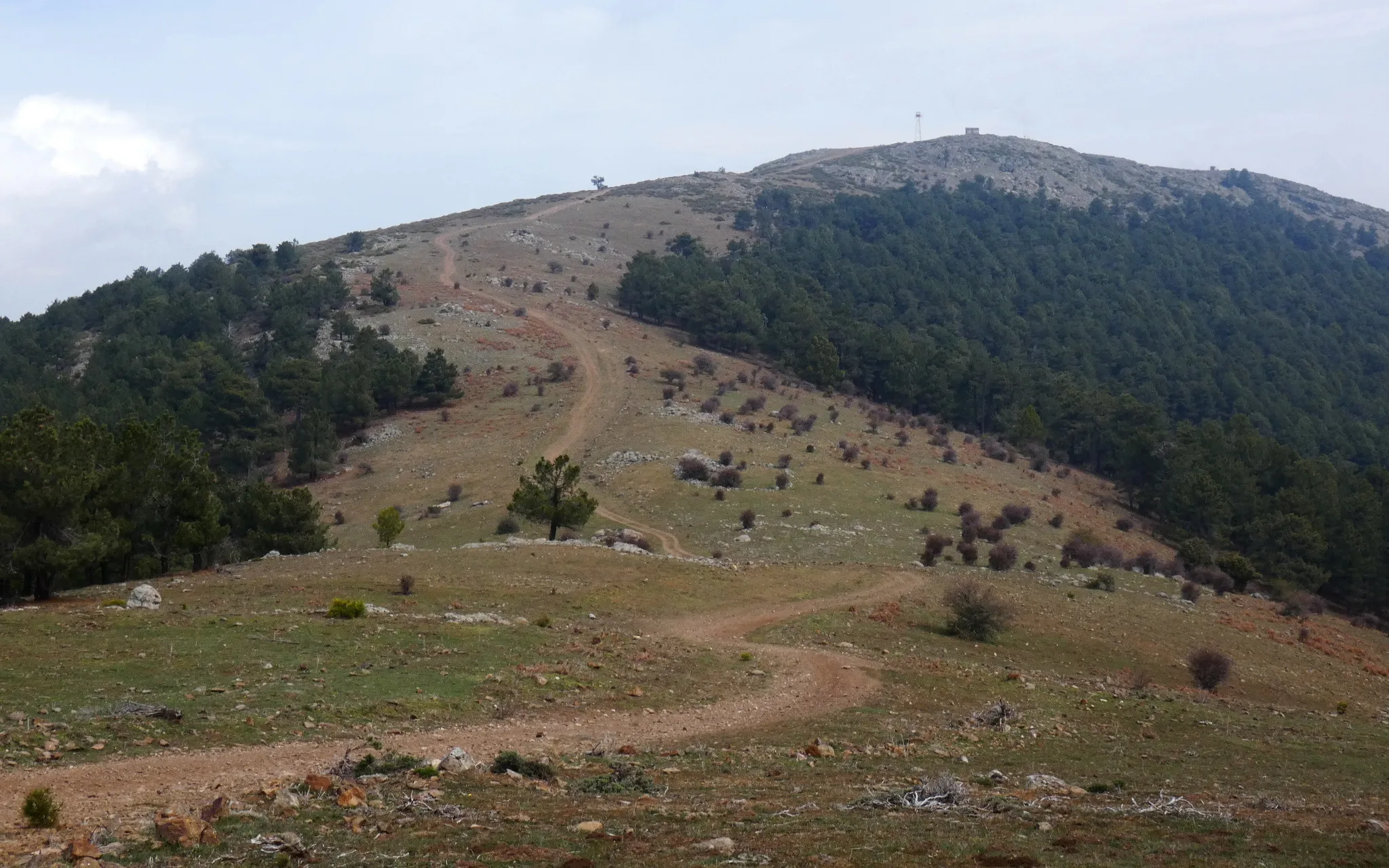 Photo showing: Subida al Cabeza de la Parra (provincia de Ávila).