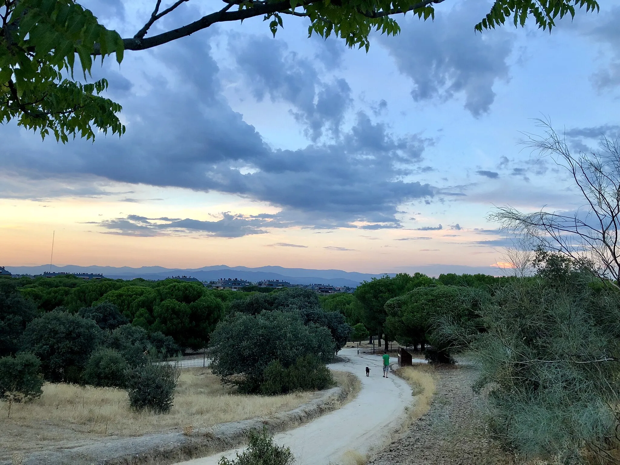 Photo showing: Monte del Pilar. Majadahonda, Madrid, España