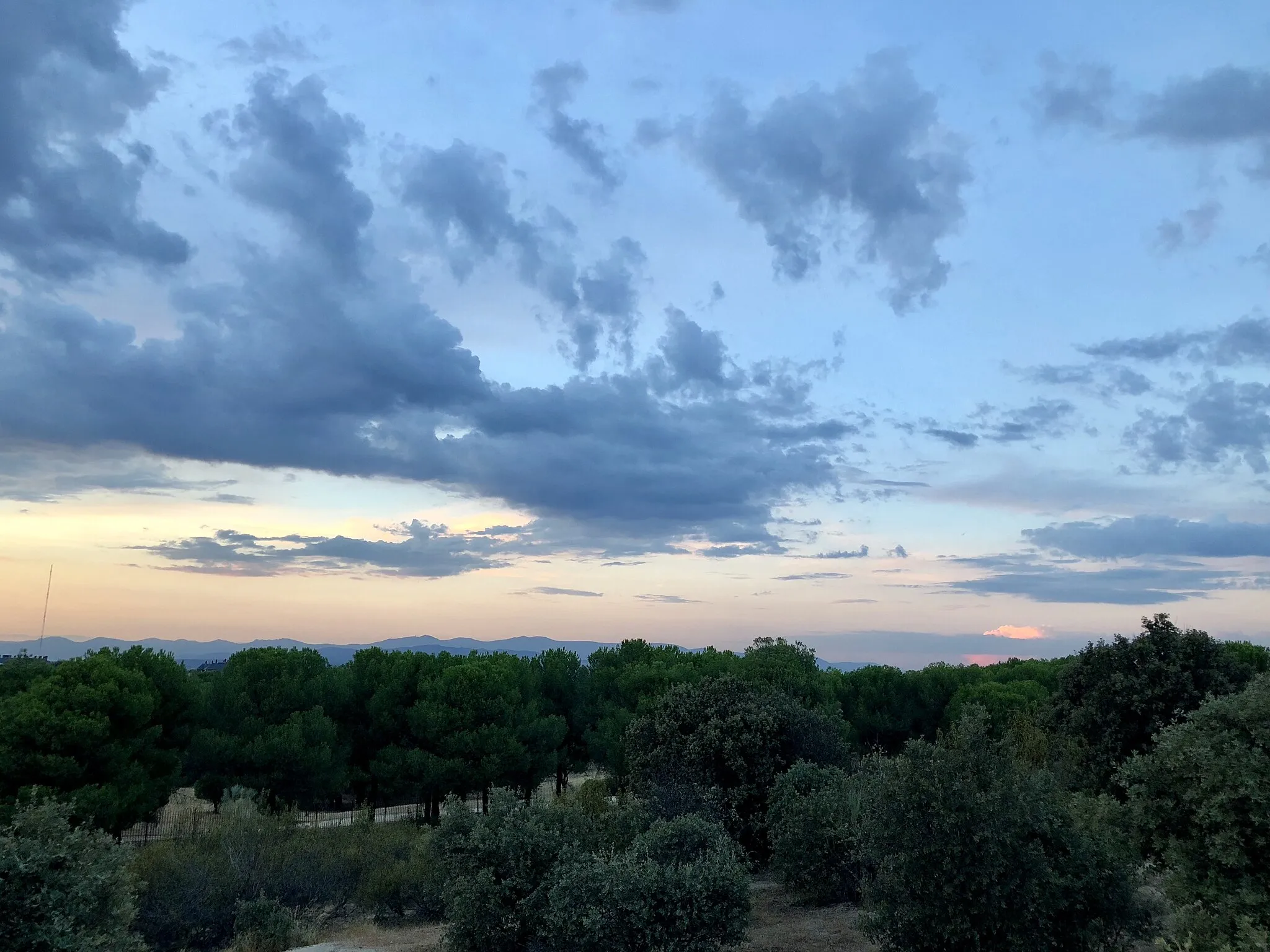 Photo showing: Monte del Pilar. Majadahonda, Madrid, España