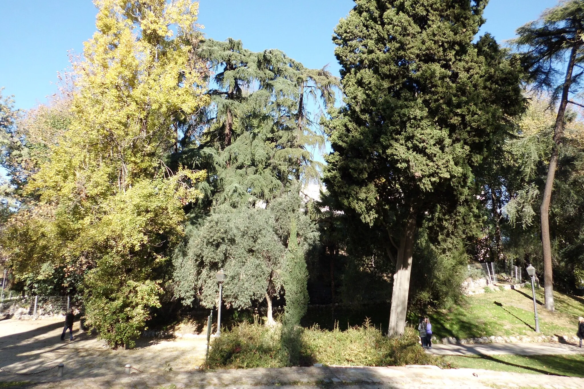 Photo showing: Montaña artificial llamada también montaña de los gatos. es una pequeña elevación situada en El Retiro de Madrid en cuyo entorno se hallan las ruinas de la ermita románica de San Pelayo, procedente de Ávila.