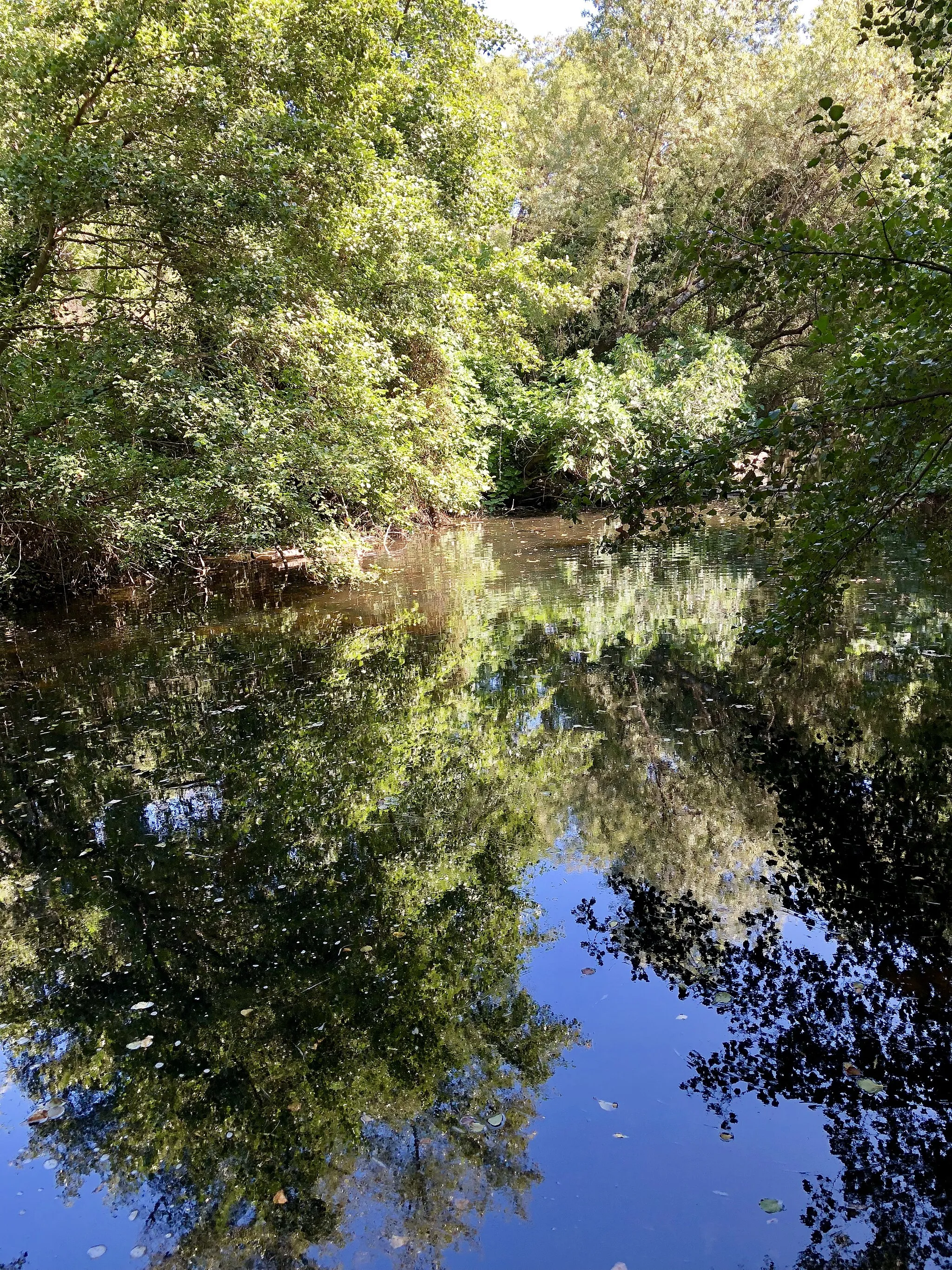 Photo showing: Río Guadalix a su paso por el término municipal de San Agustín del Guadalix (Comunidad de Madrid, España).