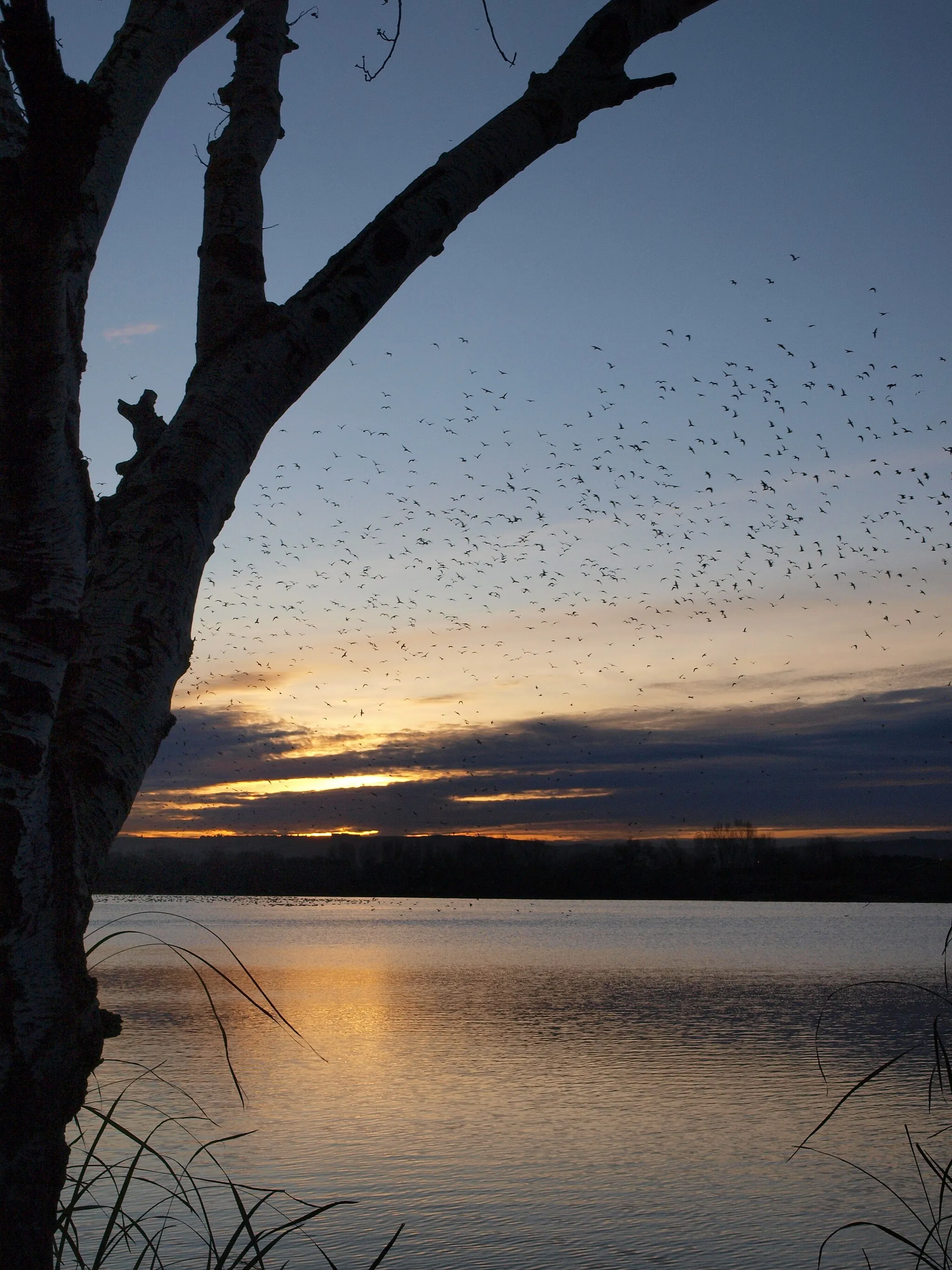 Photo showing: This is a photography of a Special Area of Conservation in Spain with the ID: