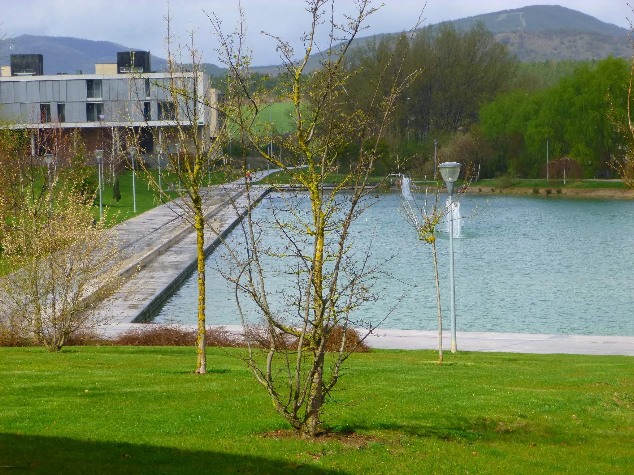 Photo showing: Lago de Sarriguren (Egüés, Navarra)