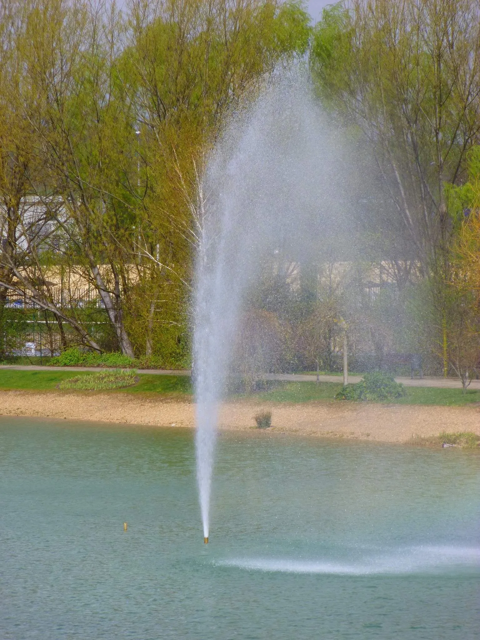 Photo showing: Lago de Sarriguren (Egüés, Navarra)