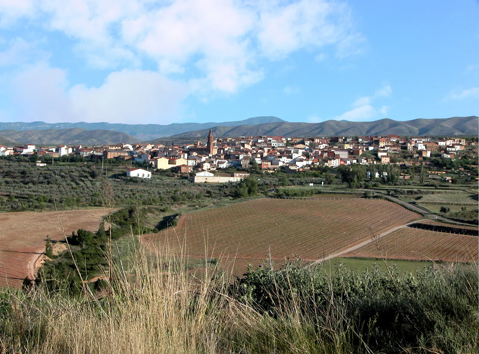 Photo showing: Tudelilla (La Rioja, España)