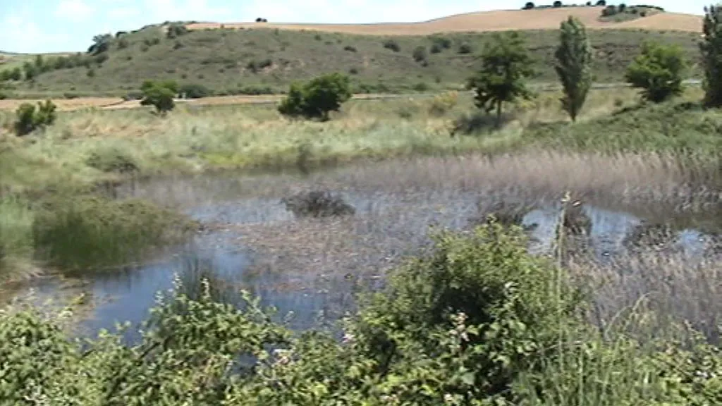 Photo showing: Balsa de Idoia, en Oteiza de la Solana (Navarra)