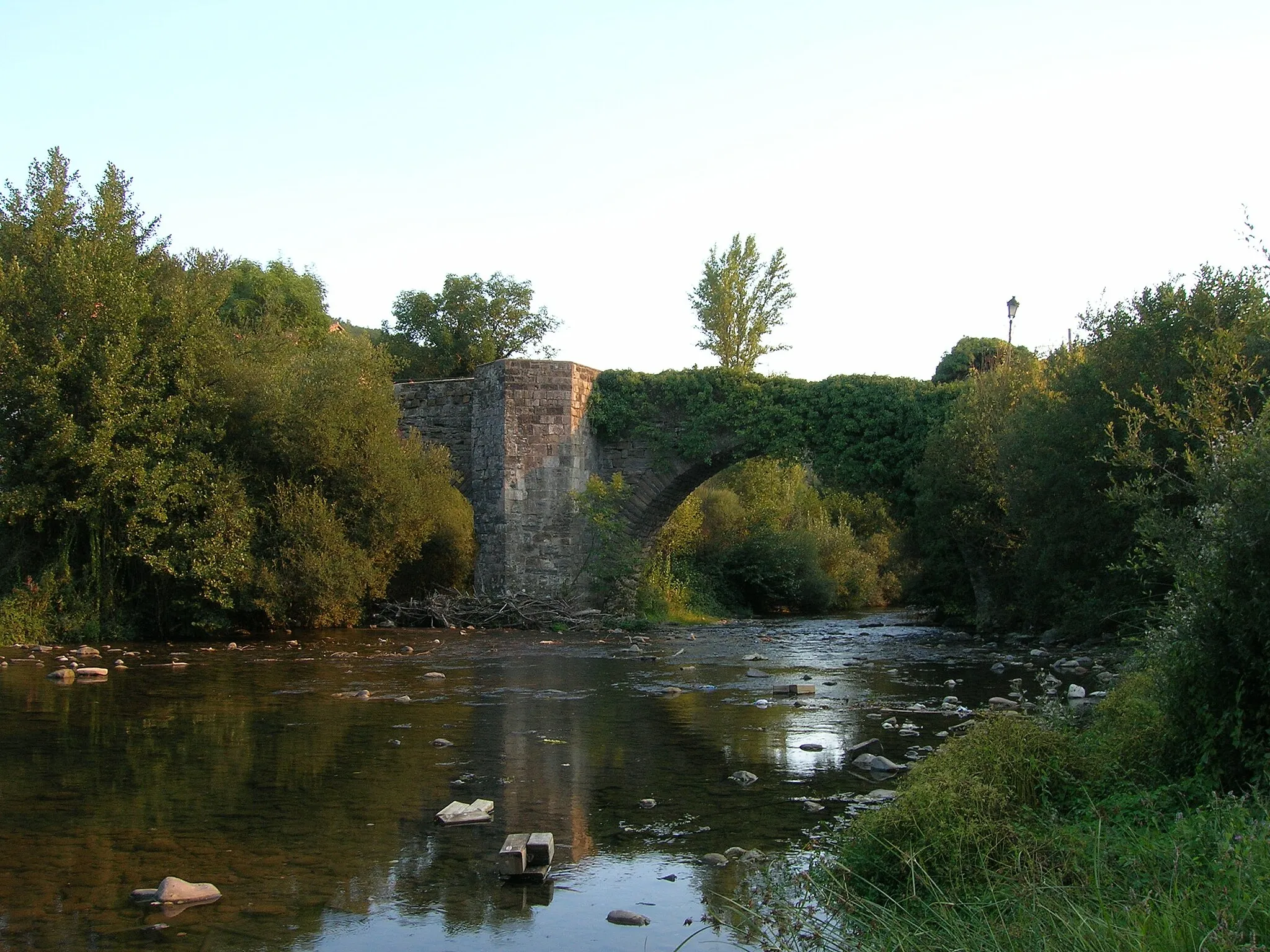 Photo showing: Puente gótico sobre el río Arga en la localidad de Zubiri.