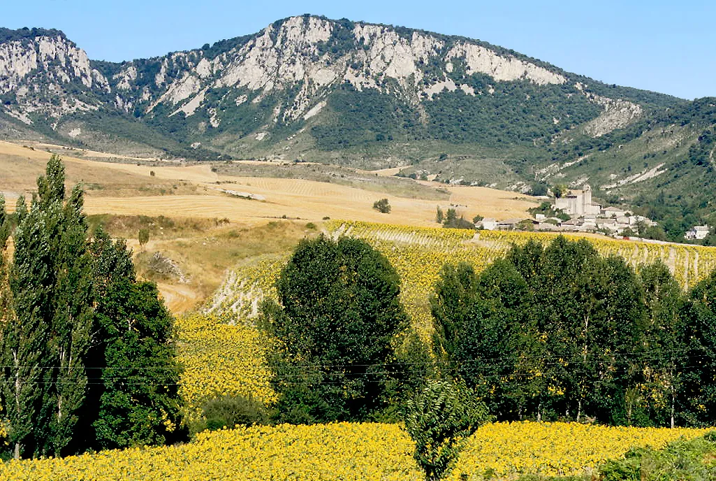 Photo showing: Surroundings of  Biloria, Lana, Navarre, Spain