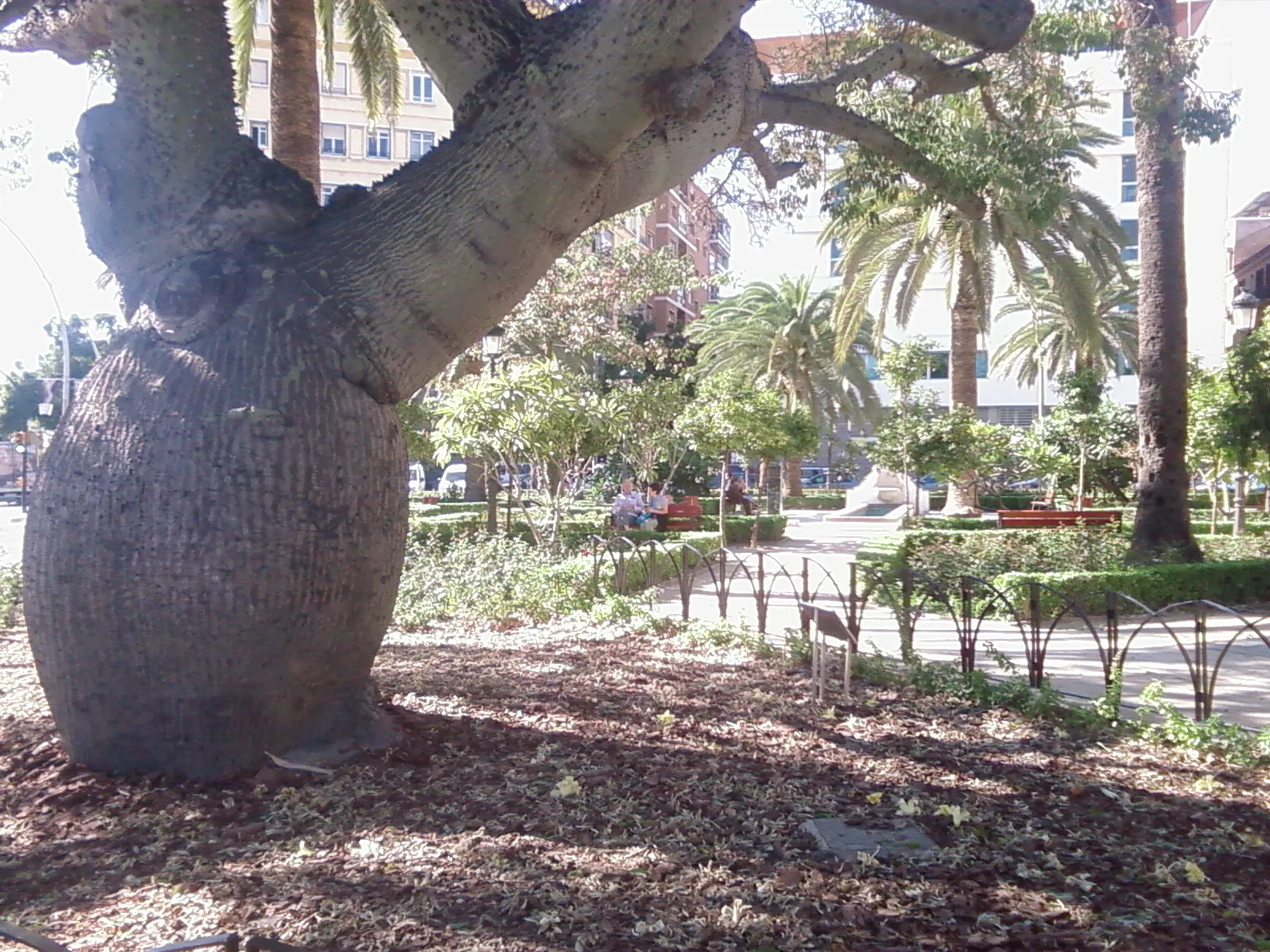 Photo showing: Alfonso Canales Garden in Málaga, Spain