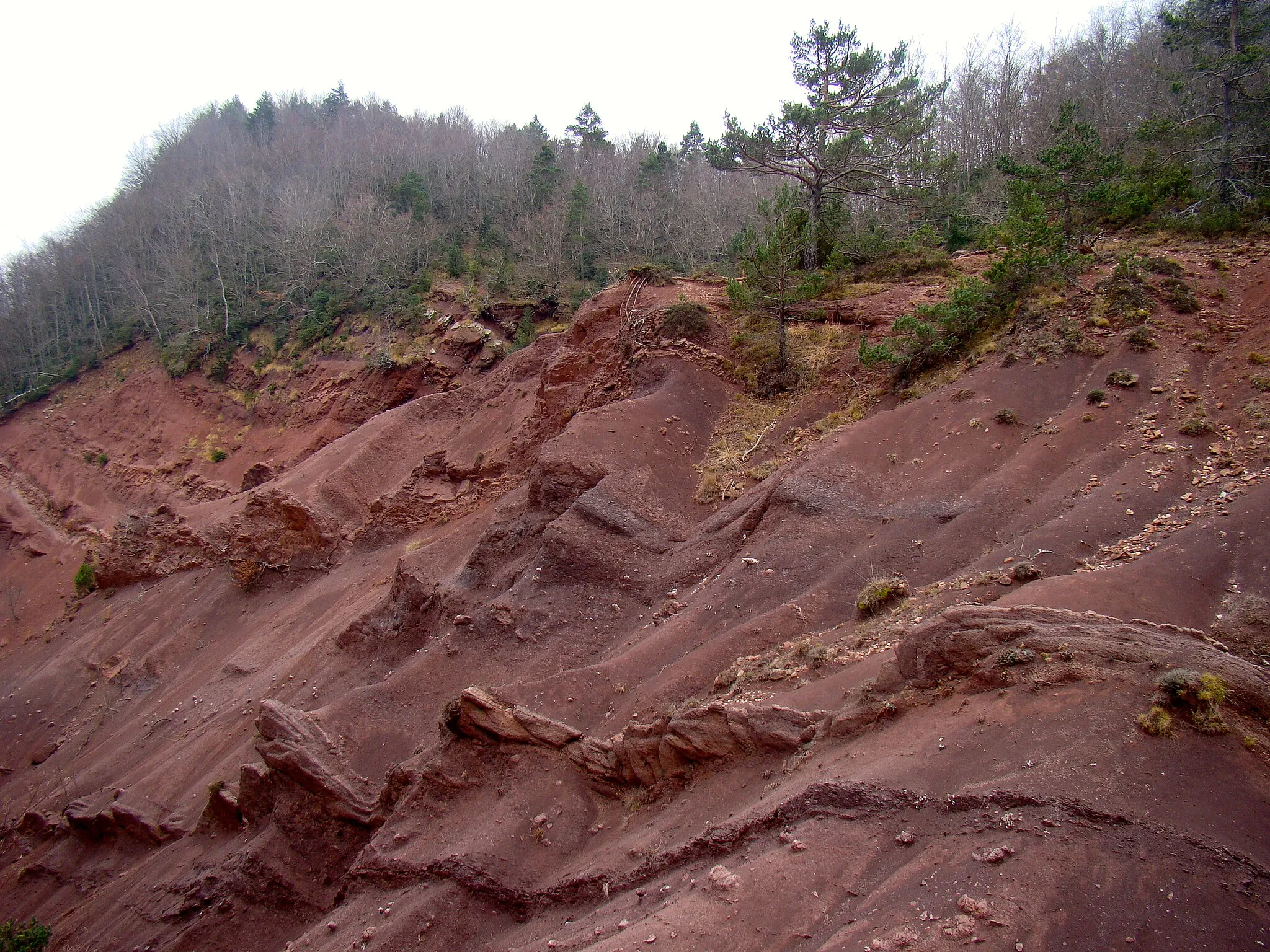 Photo showing: This is a a photo of a natural area in Catalonia, Spain, with id: