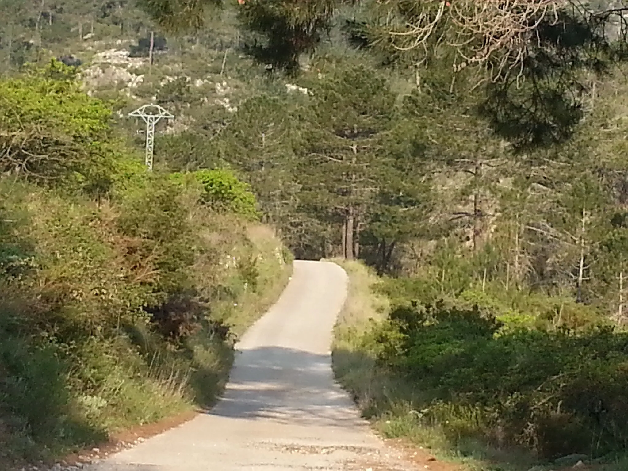 Photo showing: Road leading to El Surar in Pinet, Valencia, Spain