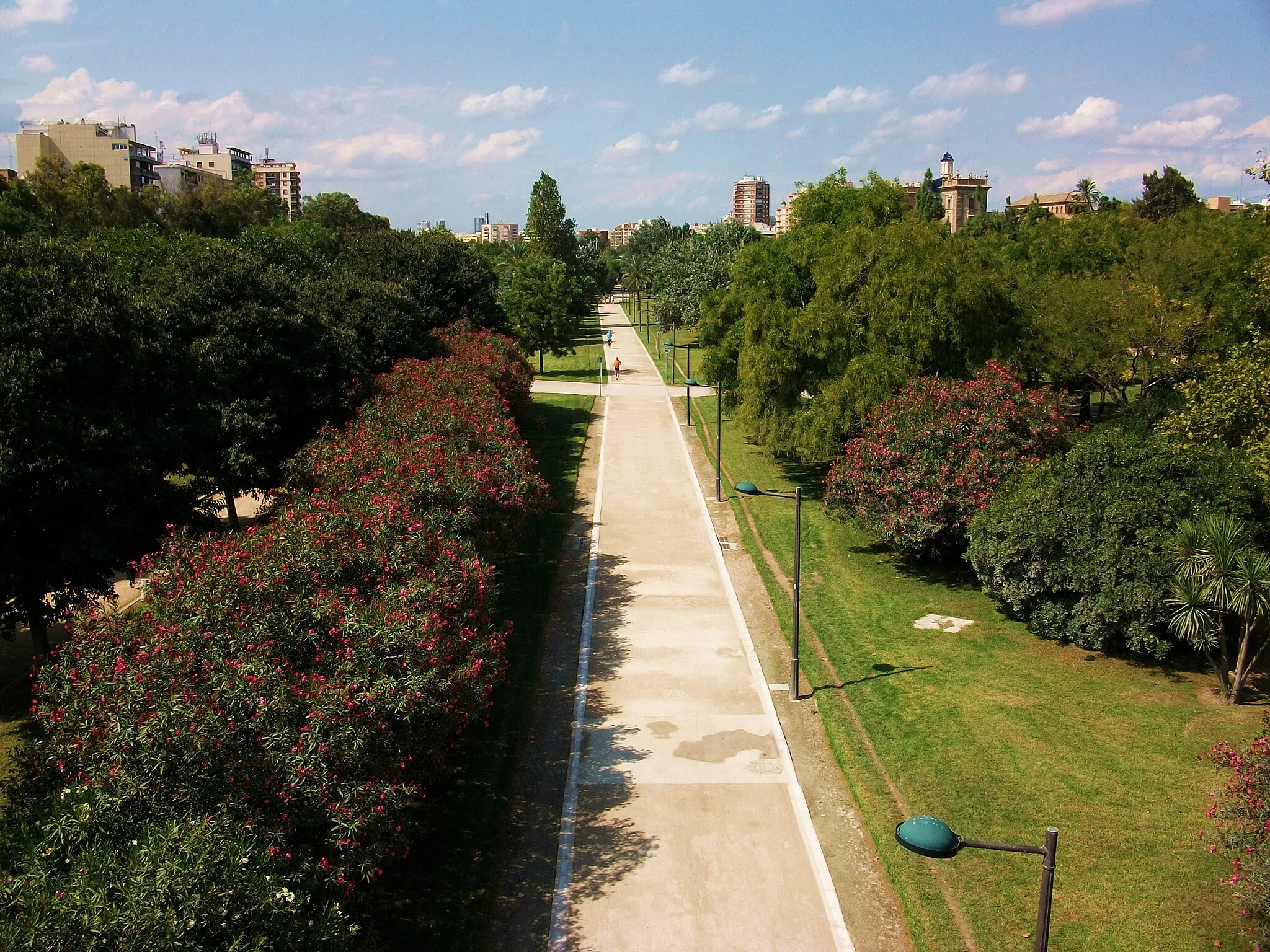 Photo showing: El Jardí del Túria vist des del pont del Real, València.