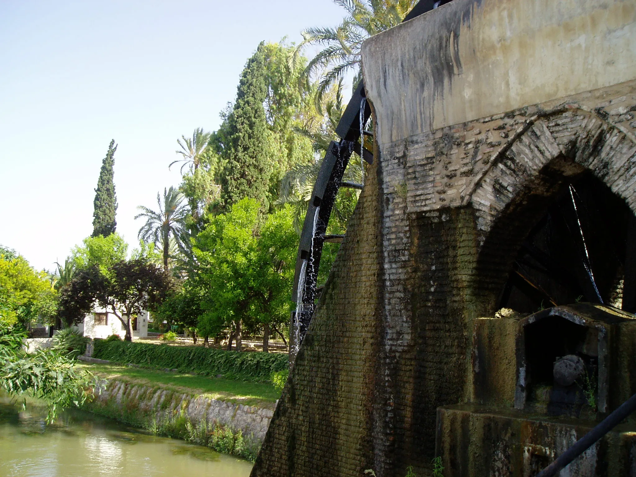 Photo showing: vista de la rueda de Alcantarilla con el Museo de la Huerta al fondo