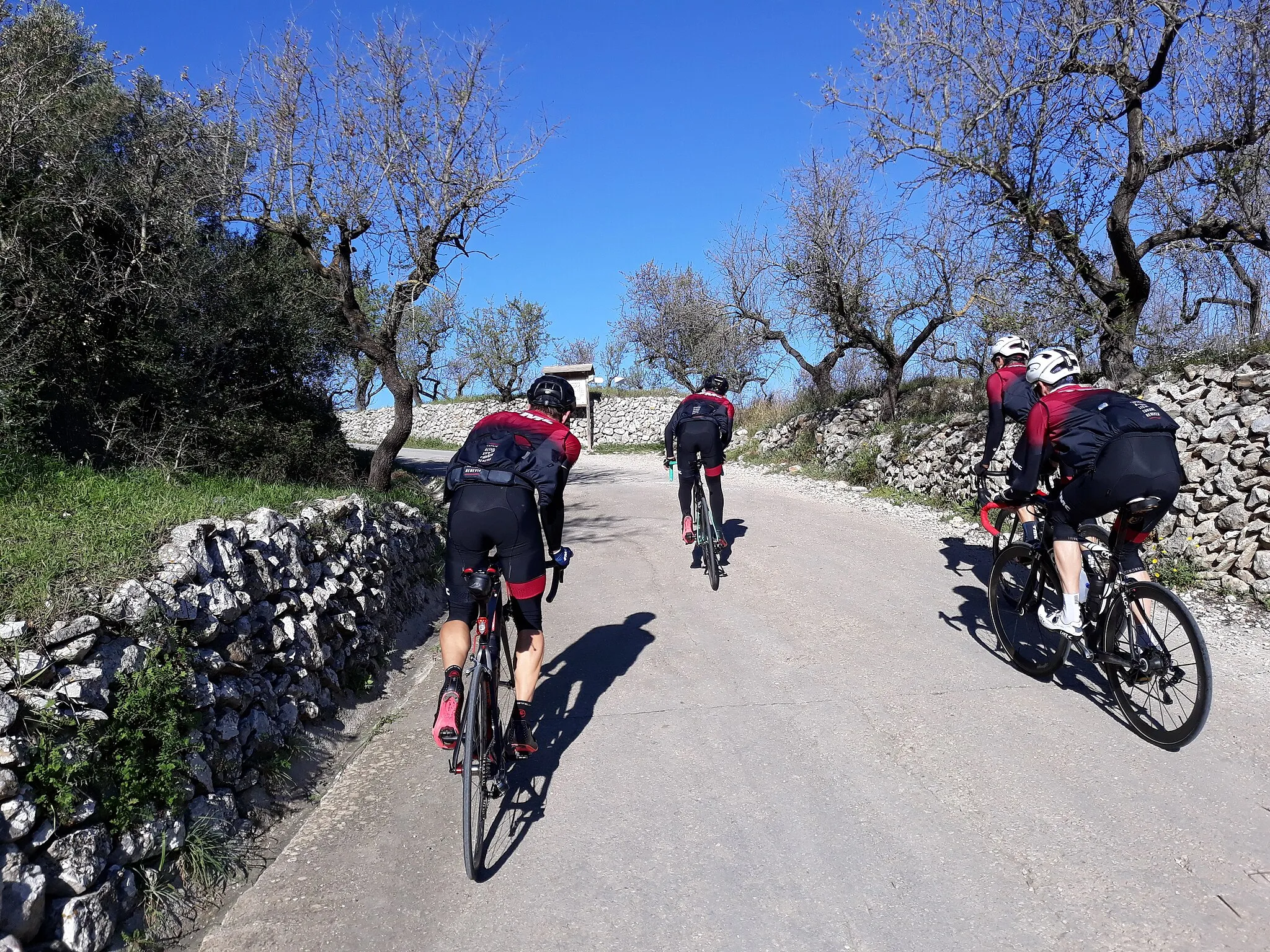 Photo showing: 2020-02-22 Ciclistes camí del Coll de la Garga a Benimaurell