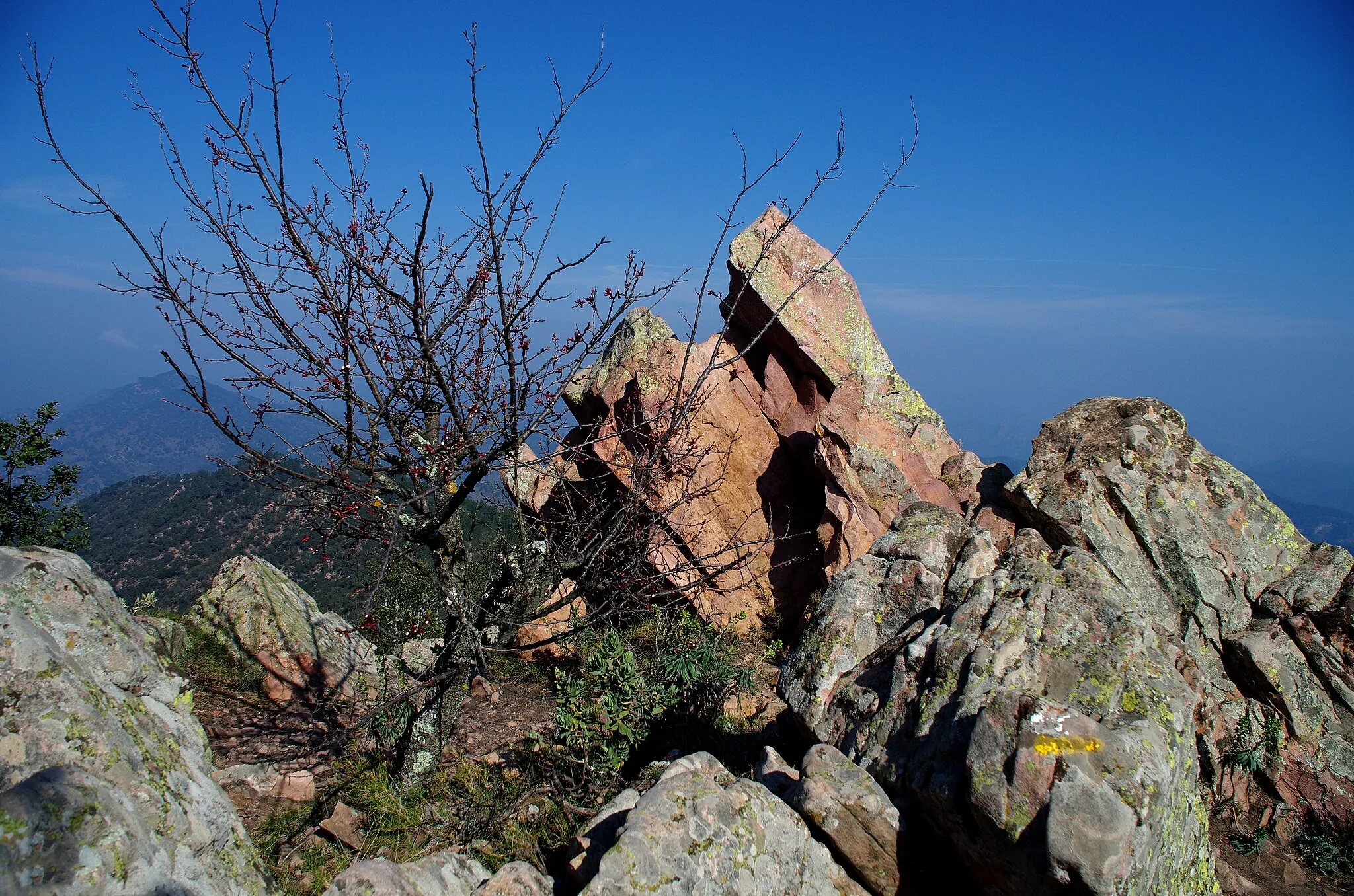 Photo showing: This is a photography of a Special Area of Conservation in Spain with the ID: