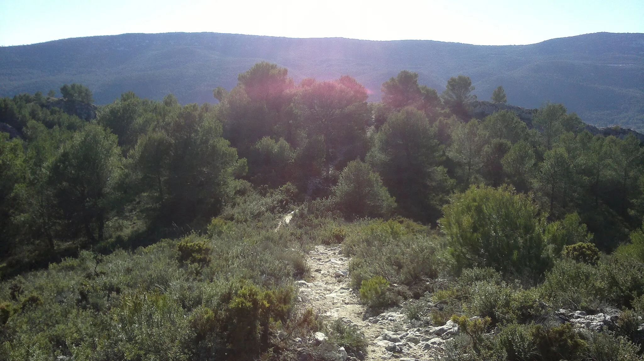 Photo showing: Senda a El Castellar