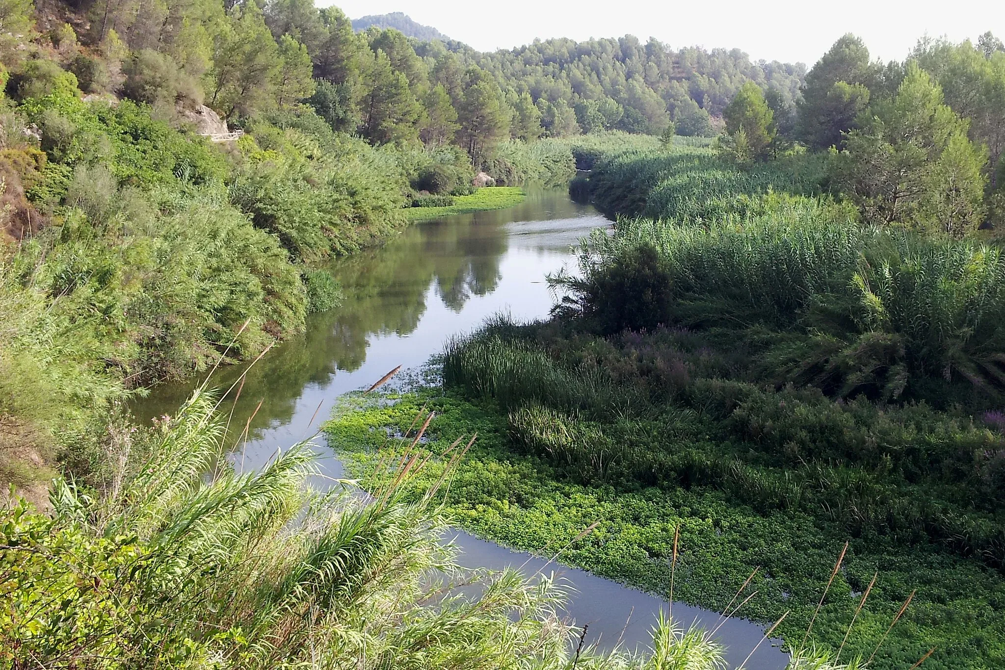 Photo showing: Río Albaida por el Paraje Natural de la Cova Negra - Valencia - Spain