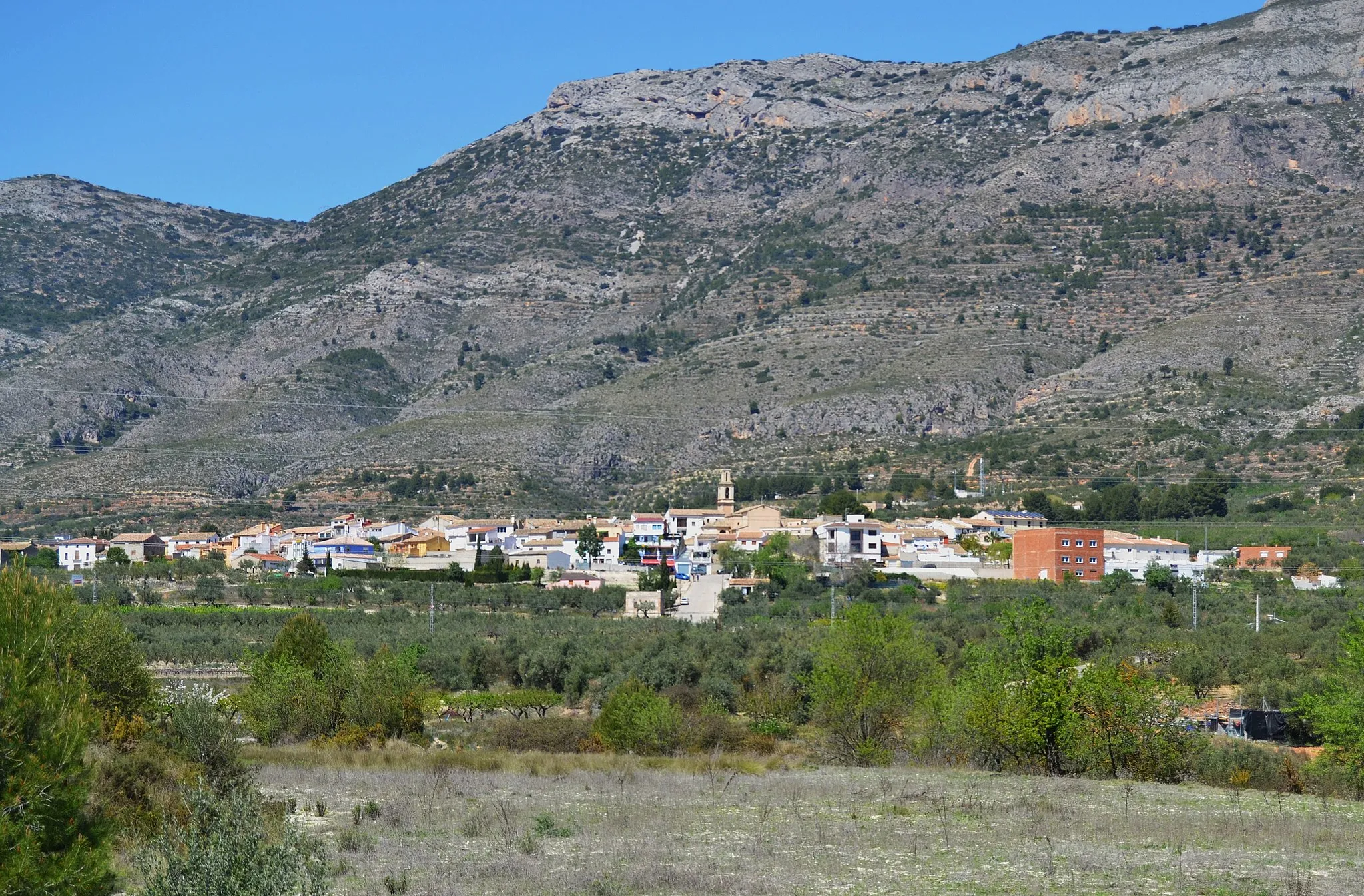 Photo showing: Gaianes vist des de l'albufera.