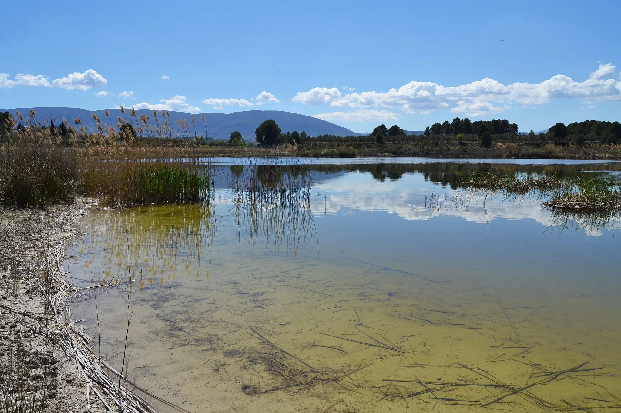 Photo showing: Albufera de Gaianes, el Comtat, País Valencià.