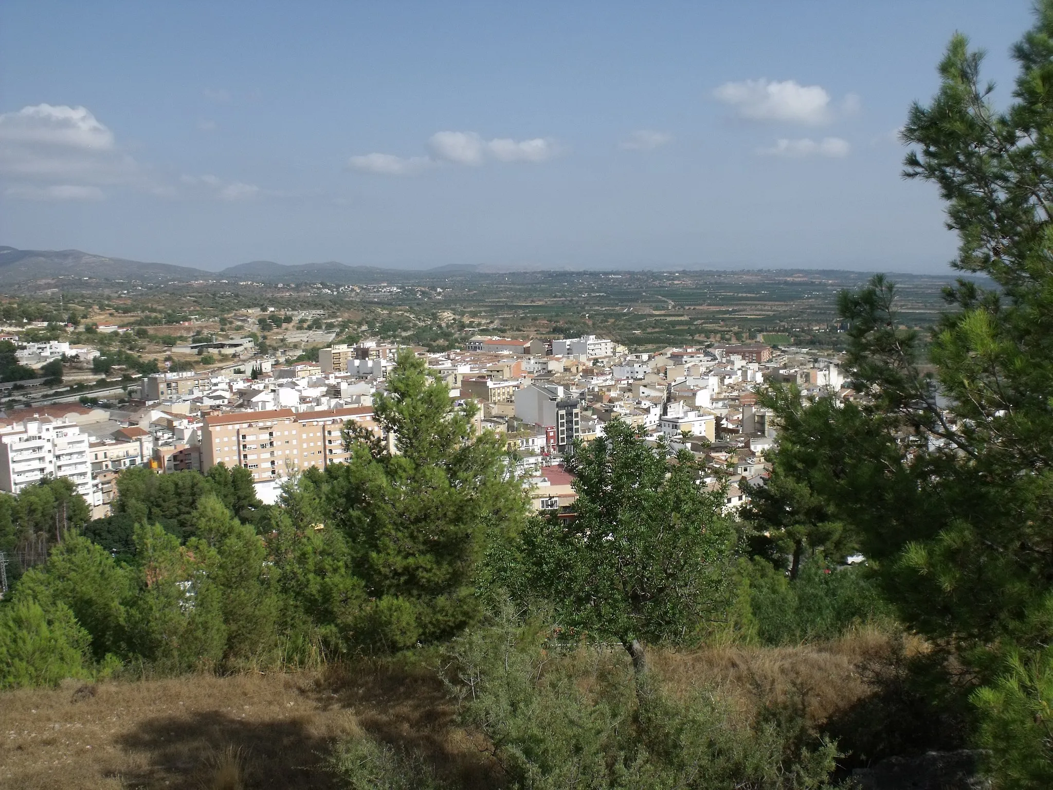 Photo showing: Chiva desde el Castillo.