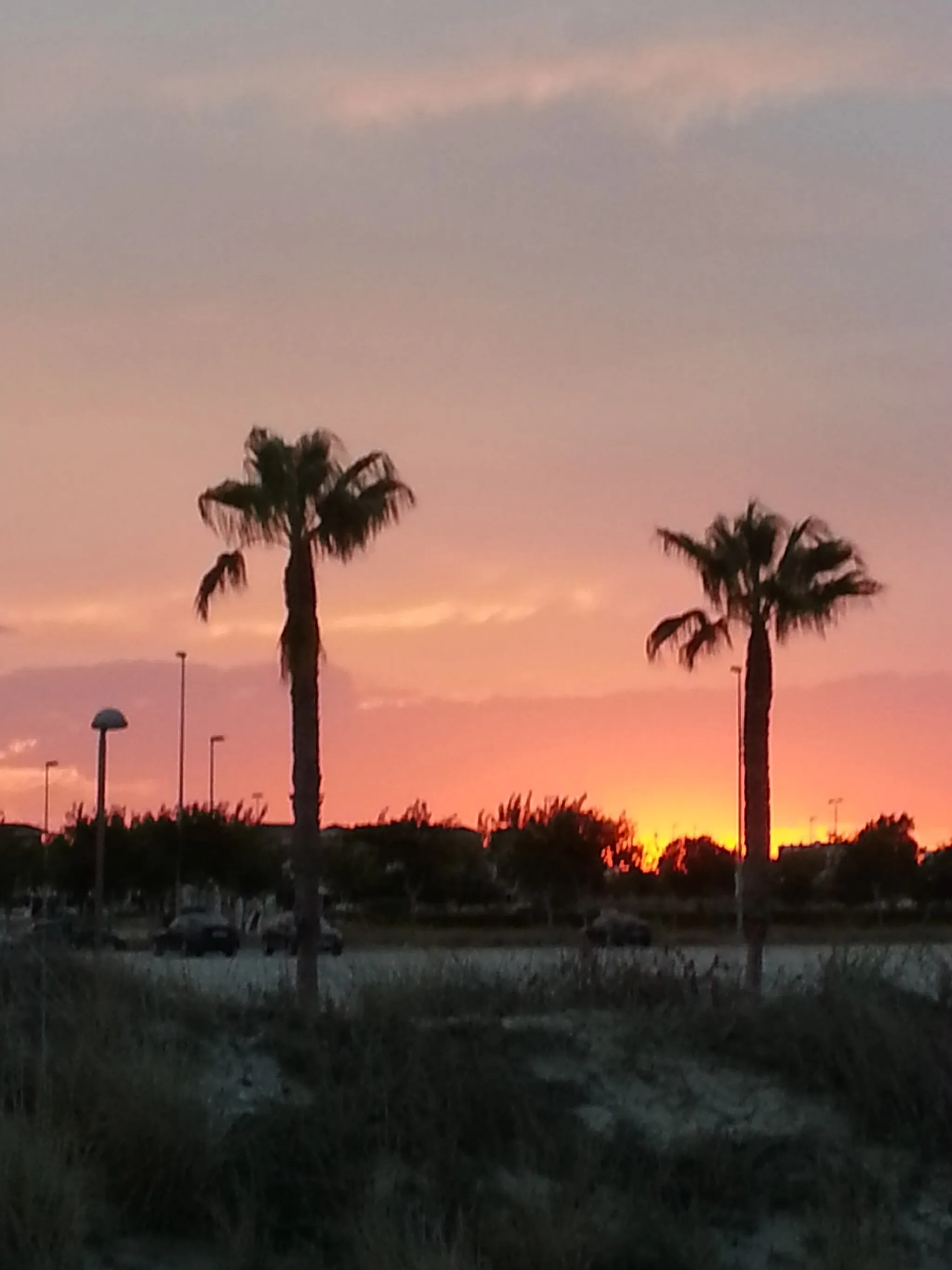 Photo showing: Atardecer en Playa las Higuericas - Pilar de la Horadada