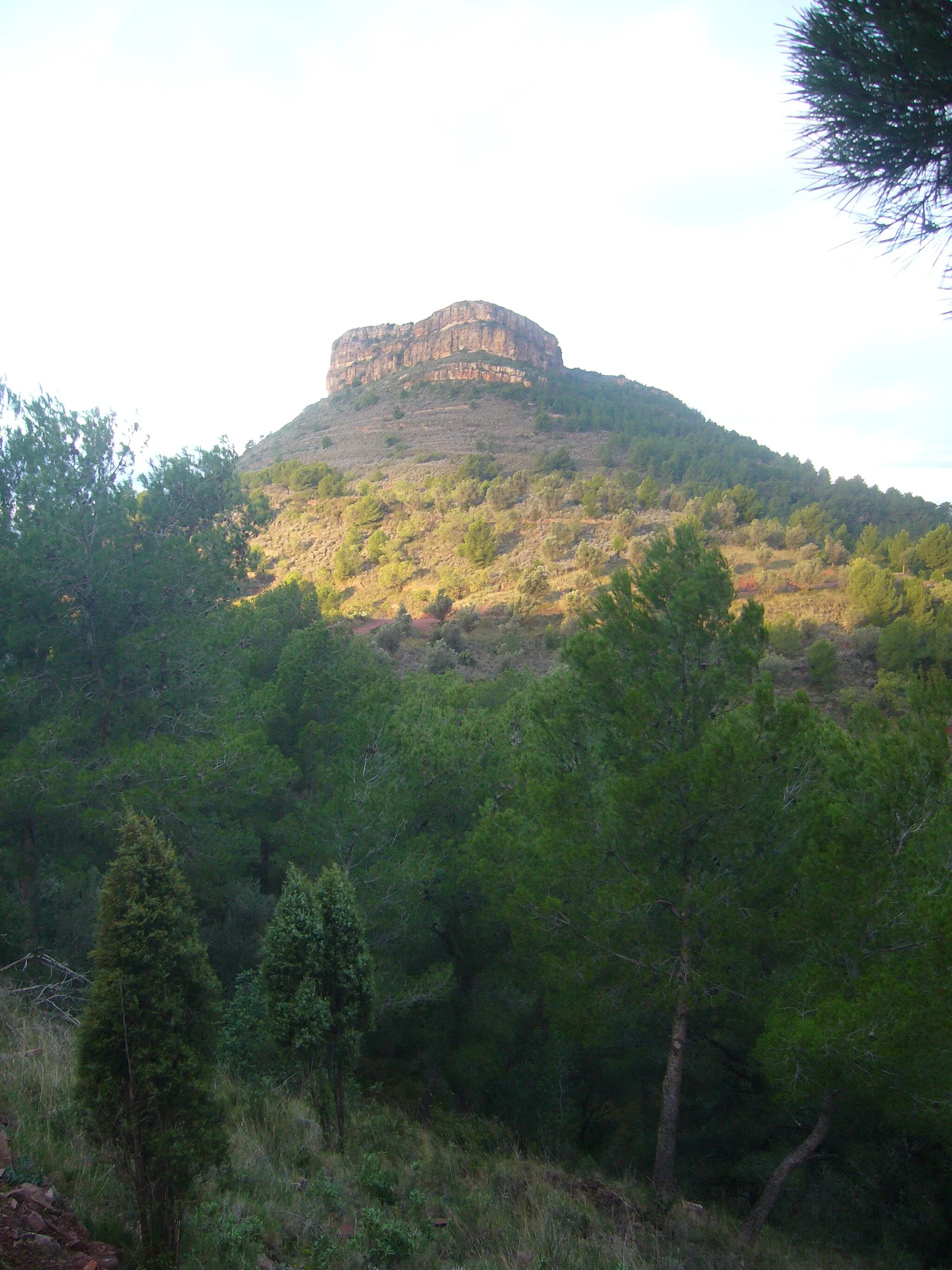 Photo showing: Mola de Segart al desembre de 2012