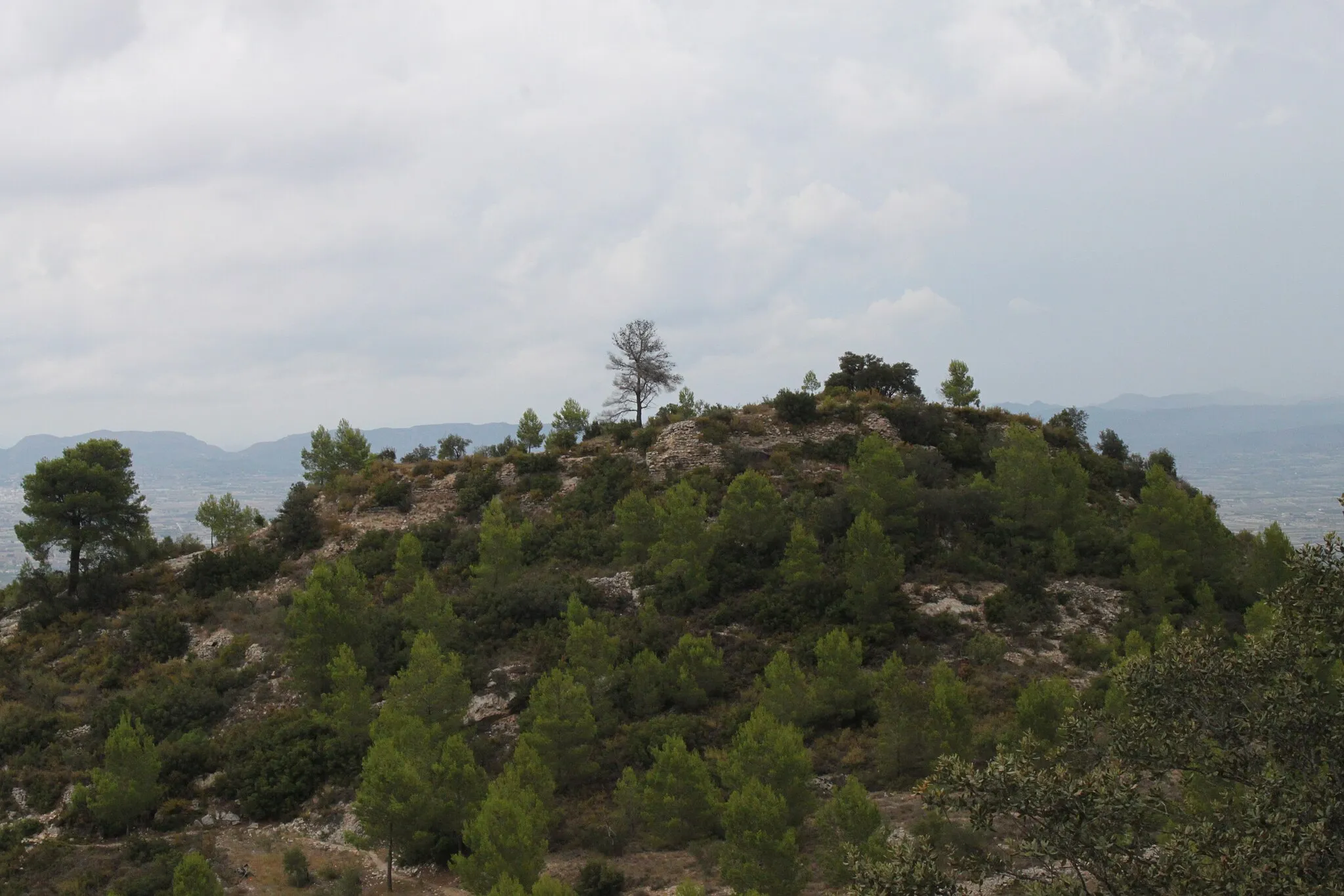 Photo showing: Cerro del Castillo de Carbonera