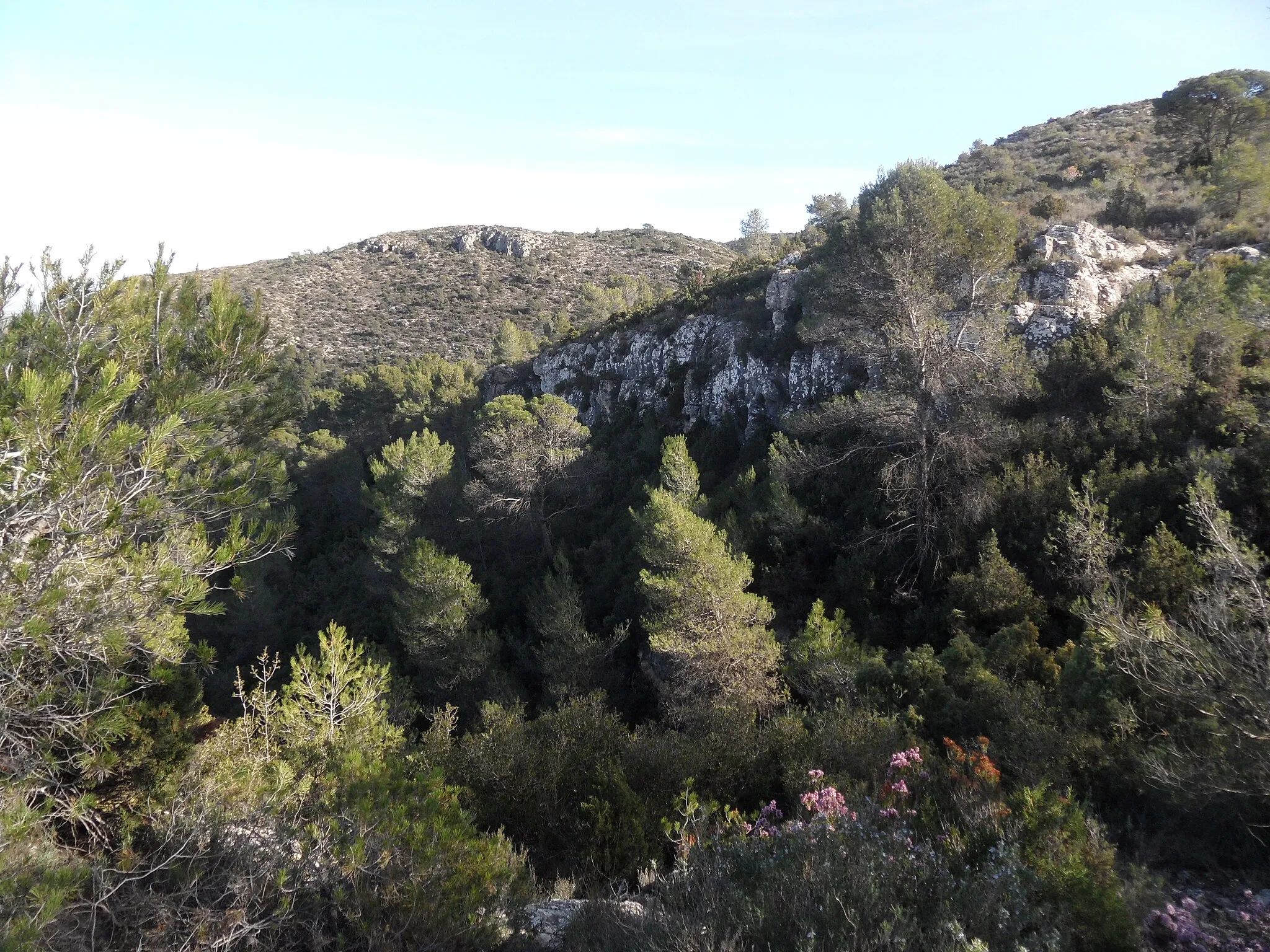 Photo showing: Barranc de l'Infern en la Serra del Morrón, a la partida de la Safra (Villena).