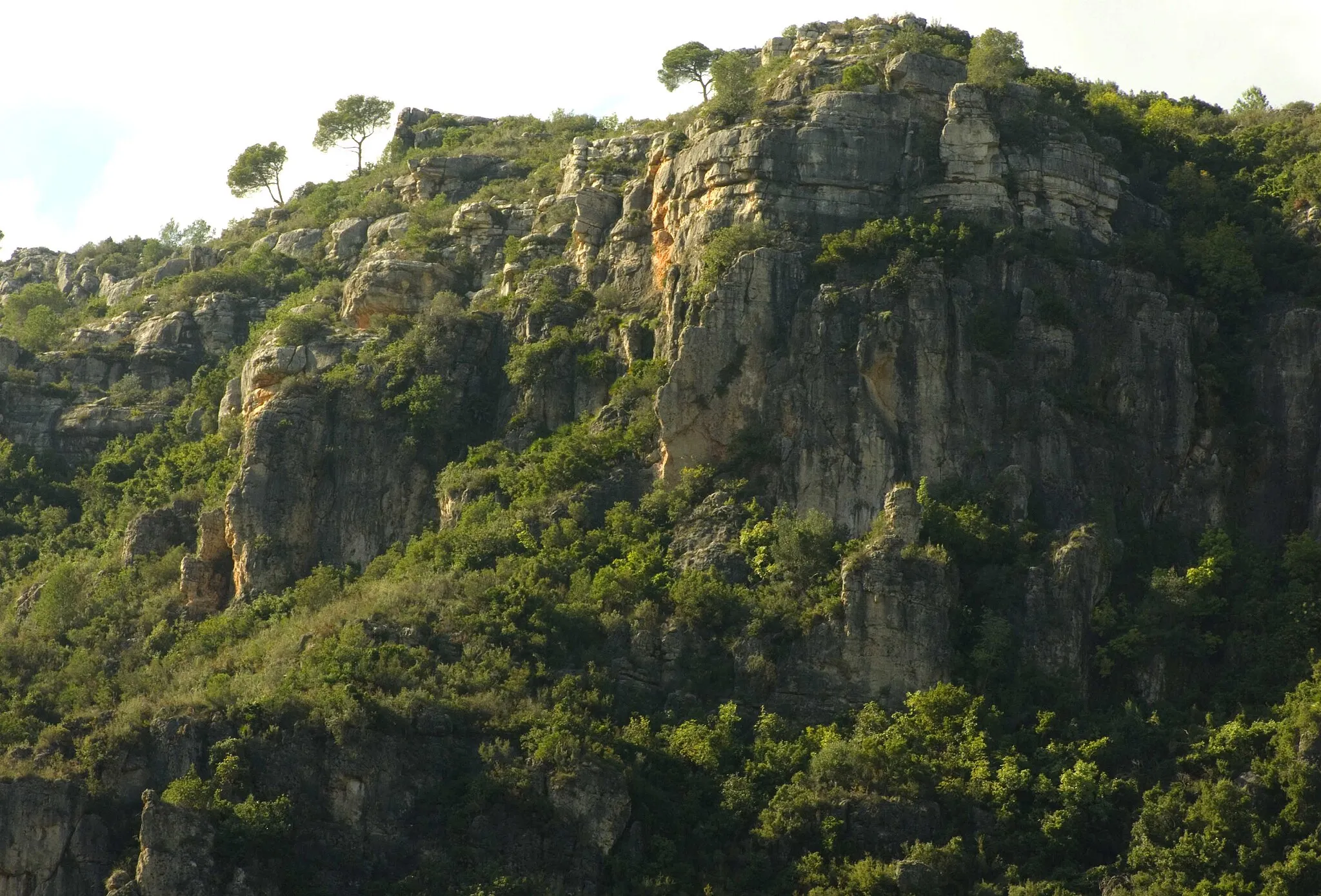 Photo showing: Vessant muntanyós al sud de la Barraca d'Aigües Vives, situat entre el barranc del Salt i el barranc de la Falsía.